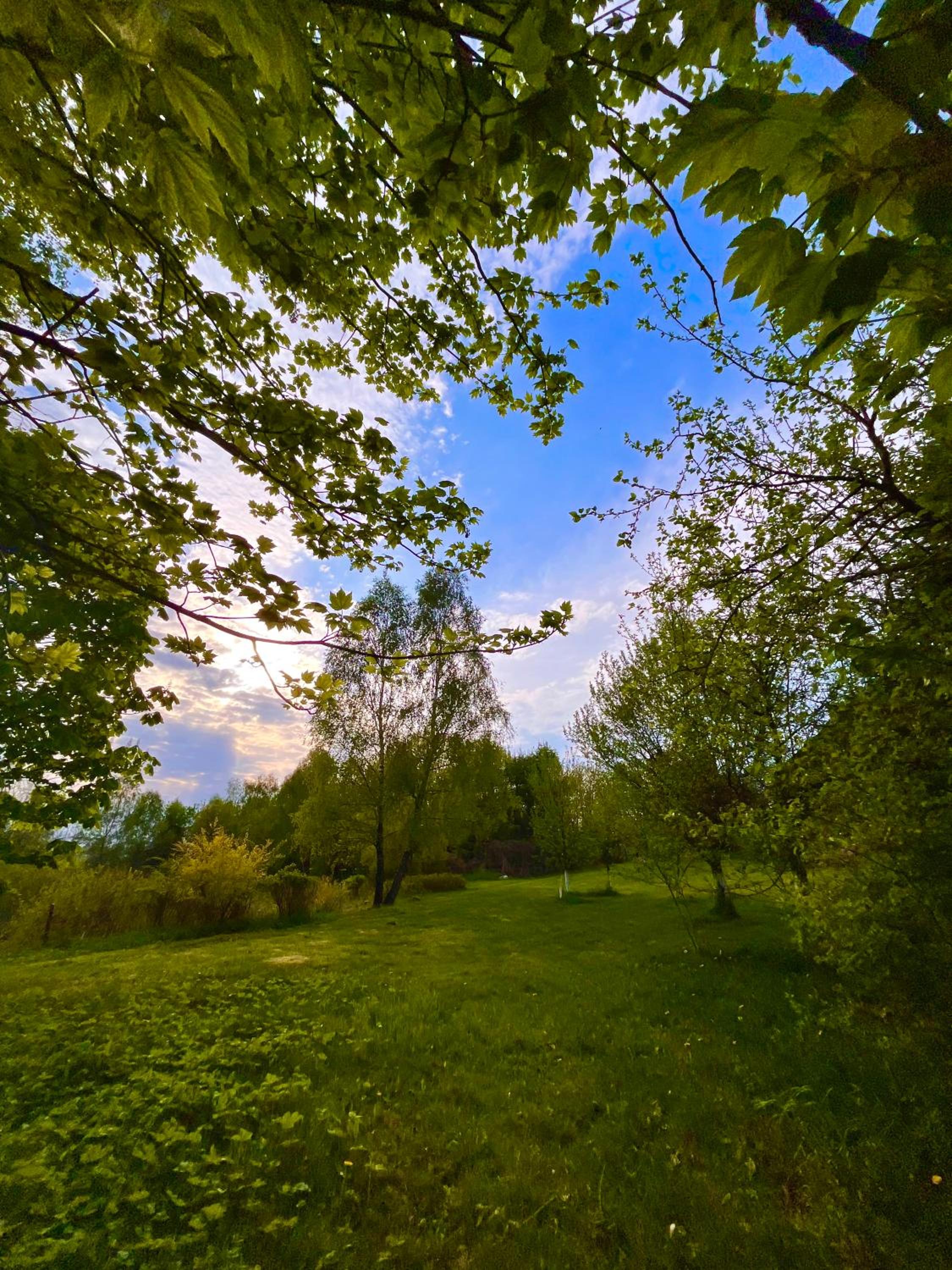 Photo 50