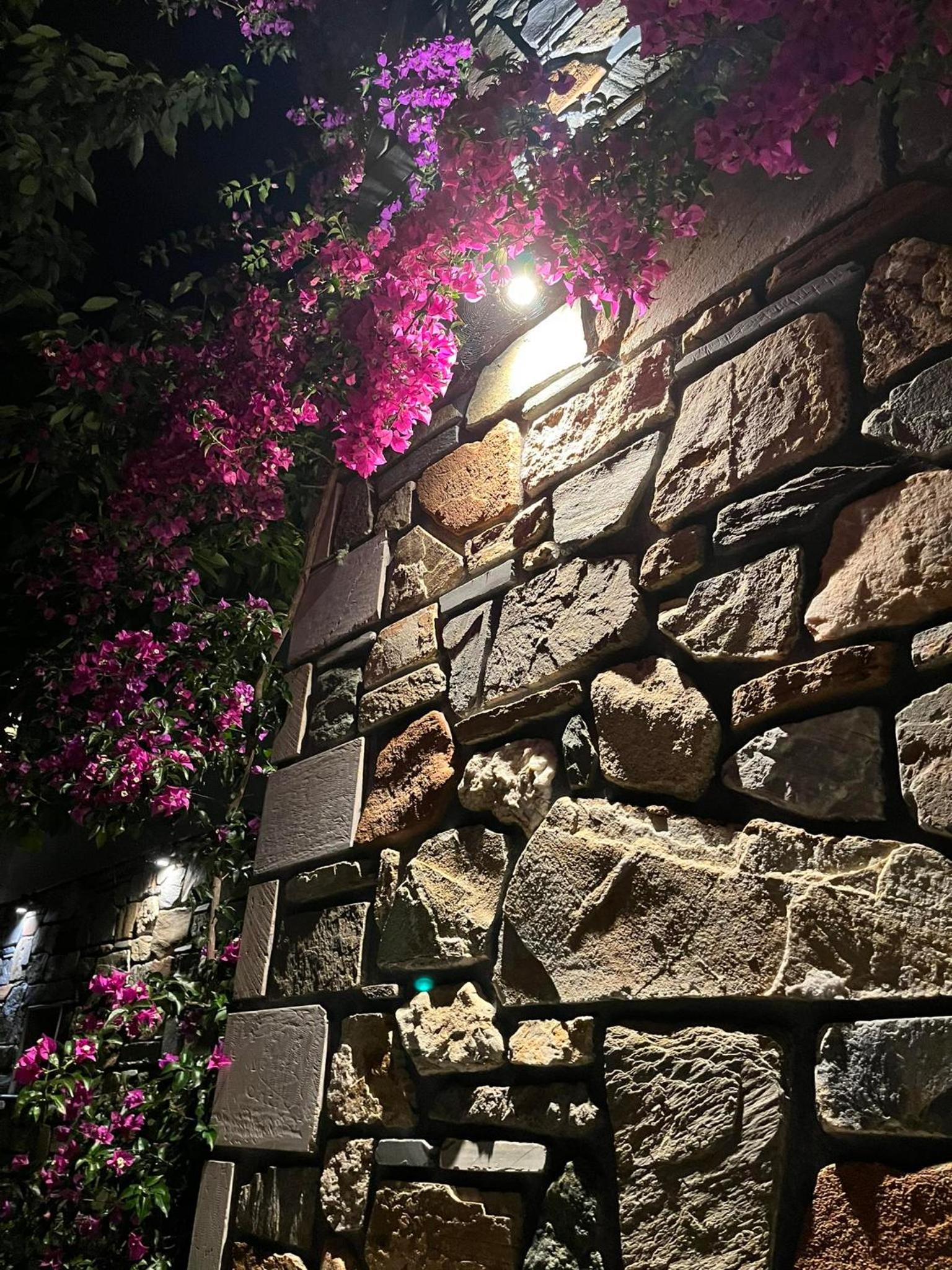 Villa Anna view 4