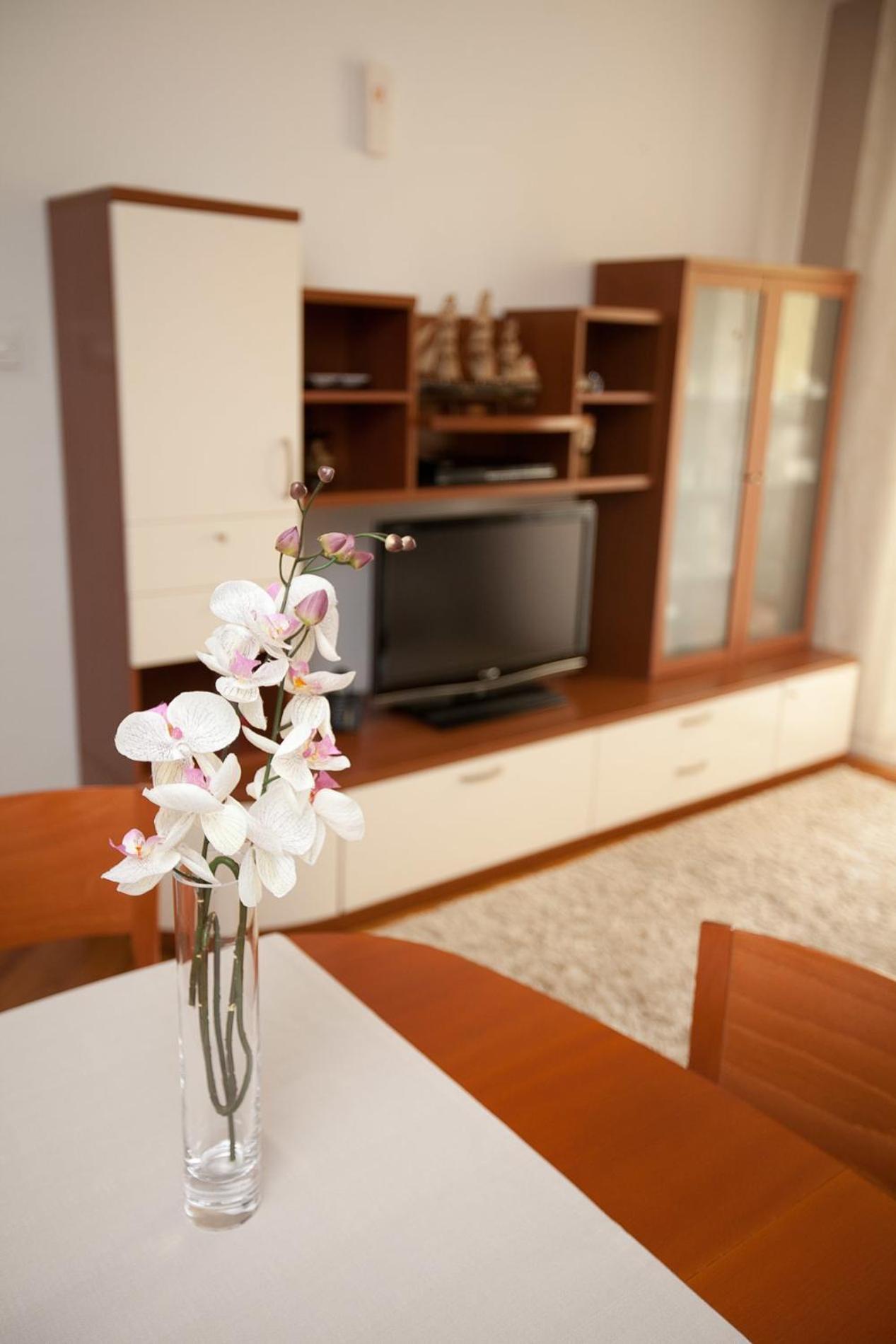 Apartment Navigare view 5