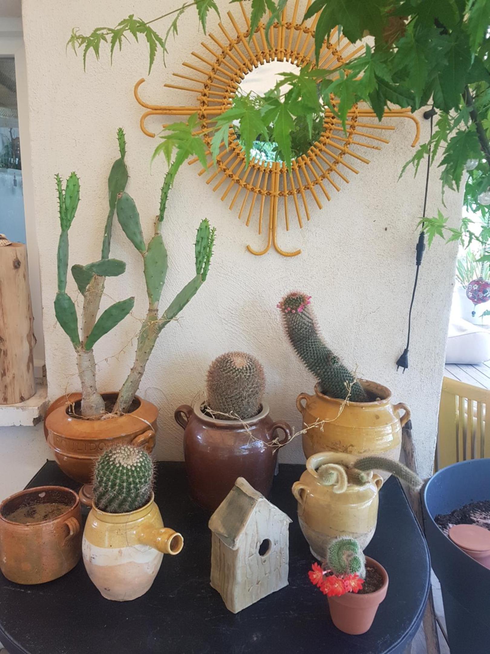 B&B La Terre Brûlée