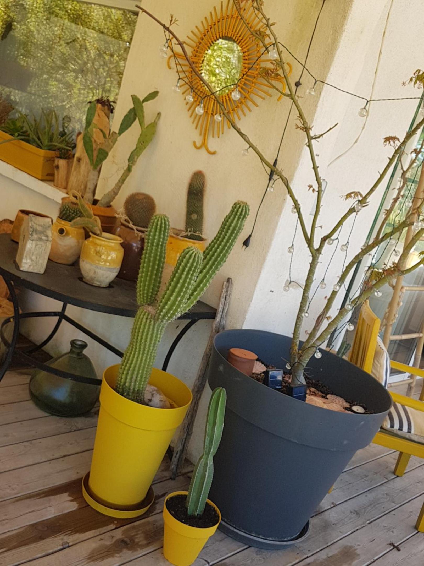 B&B La Terre Brûlée