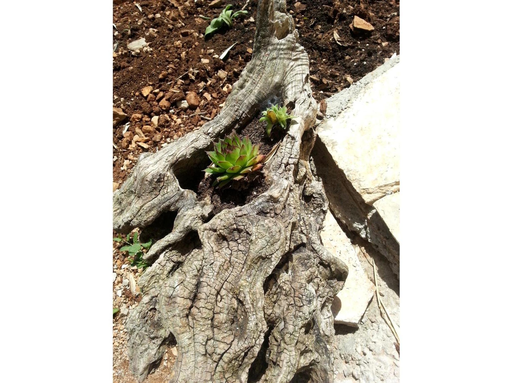 Photo 25