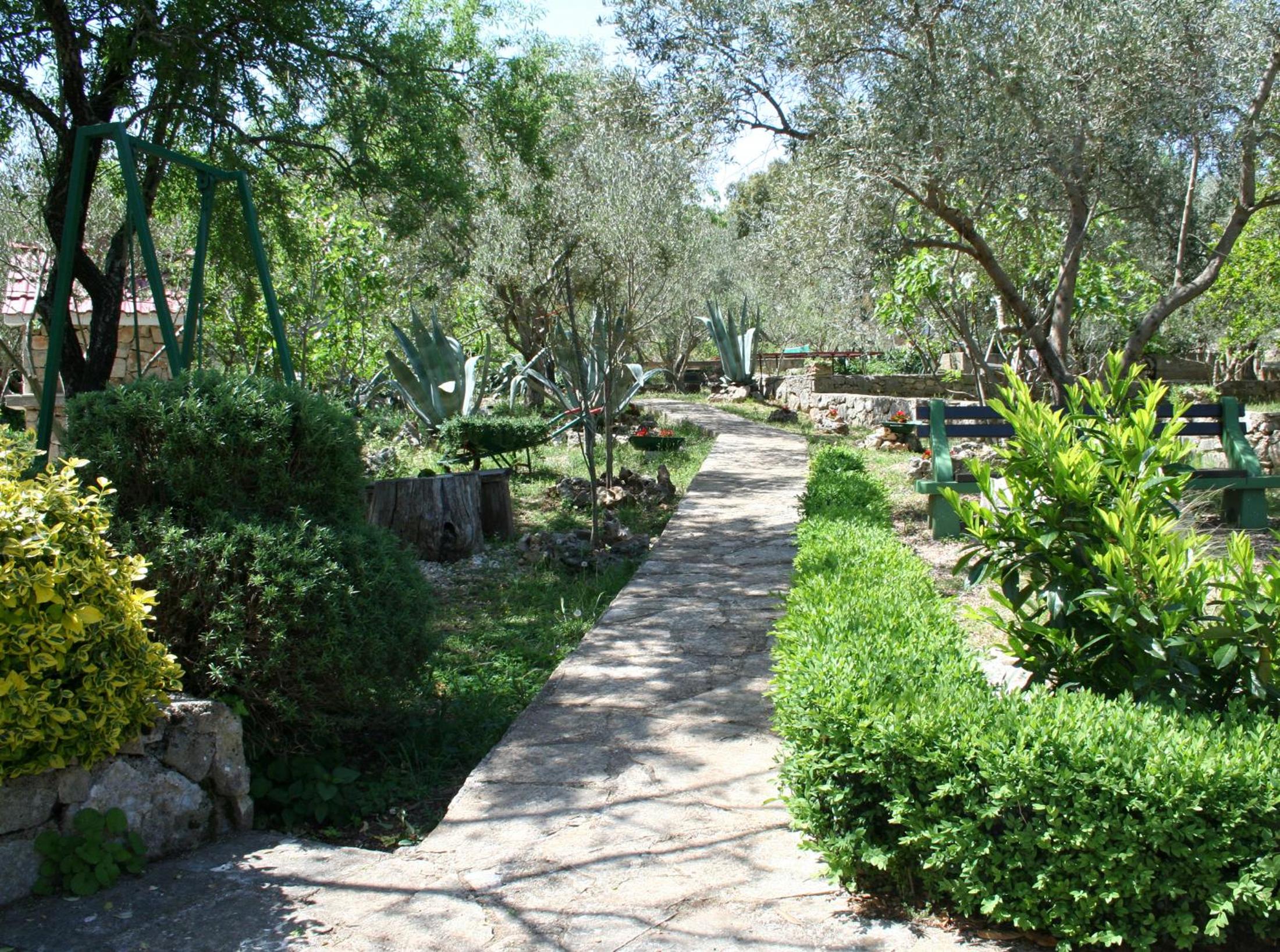 Photo 44