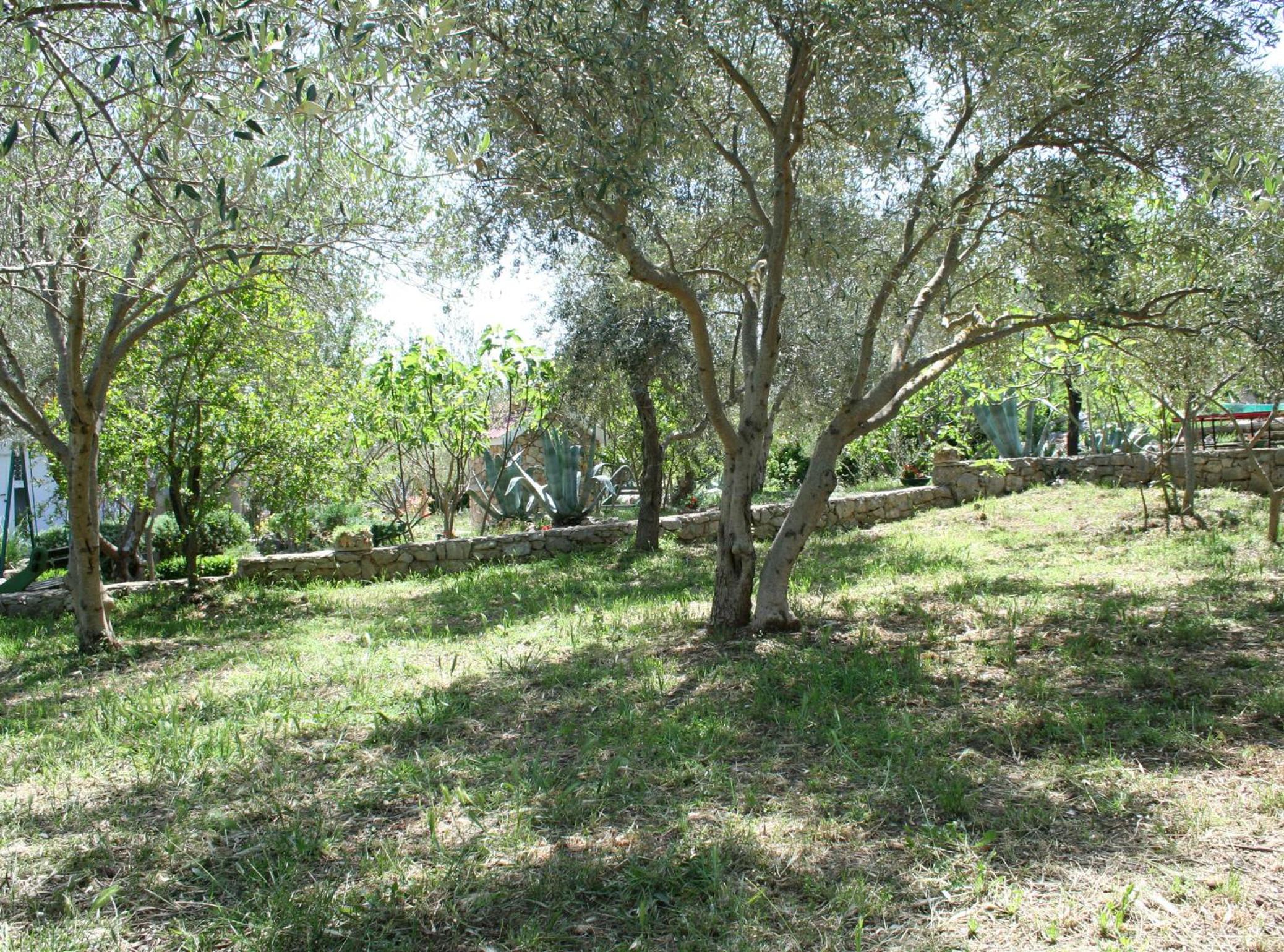 Photo 27