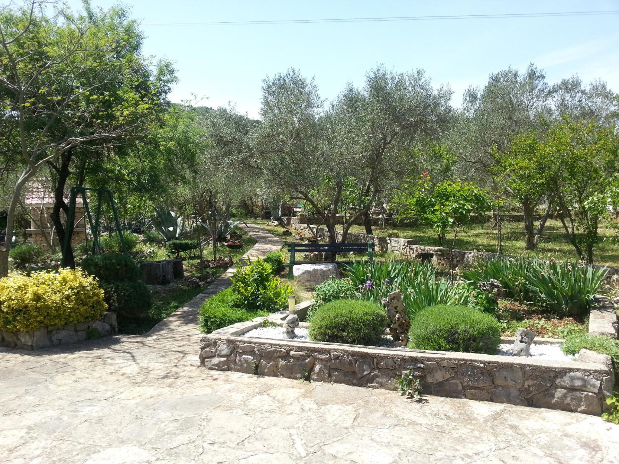 Photo 45