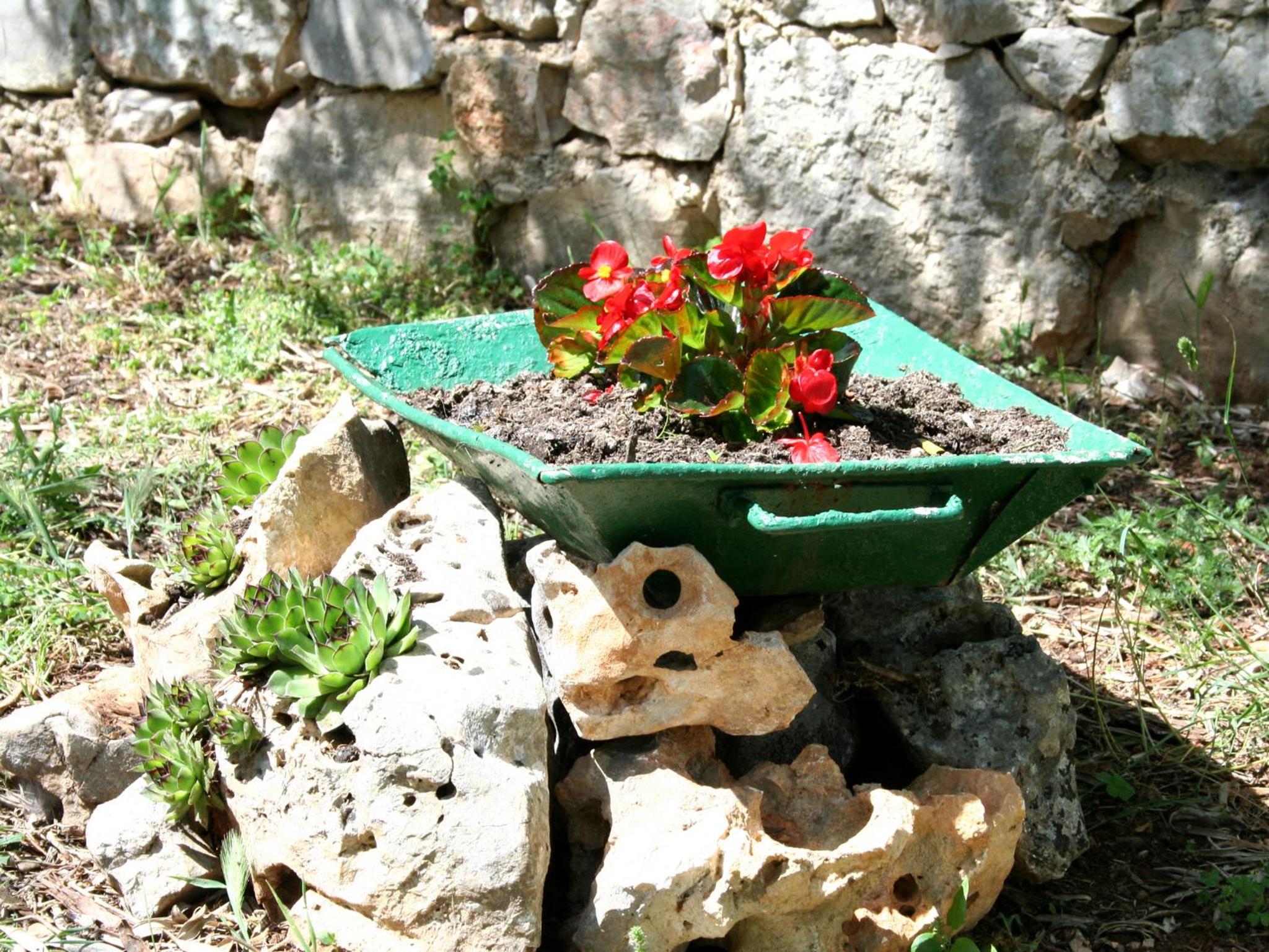 Photo 24