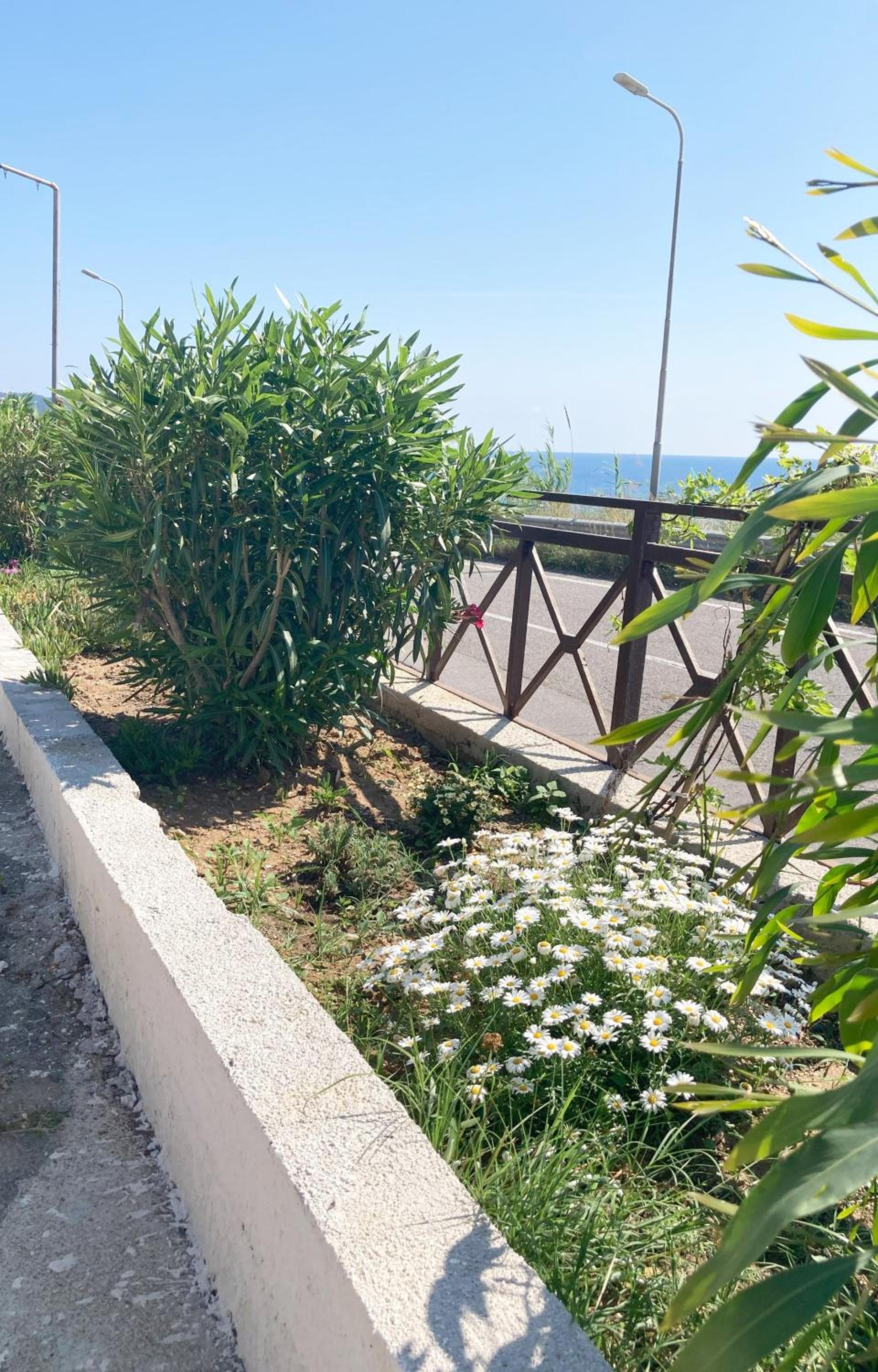 La Meriggia B&B