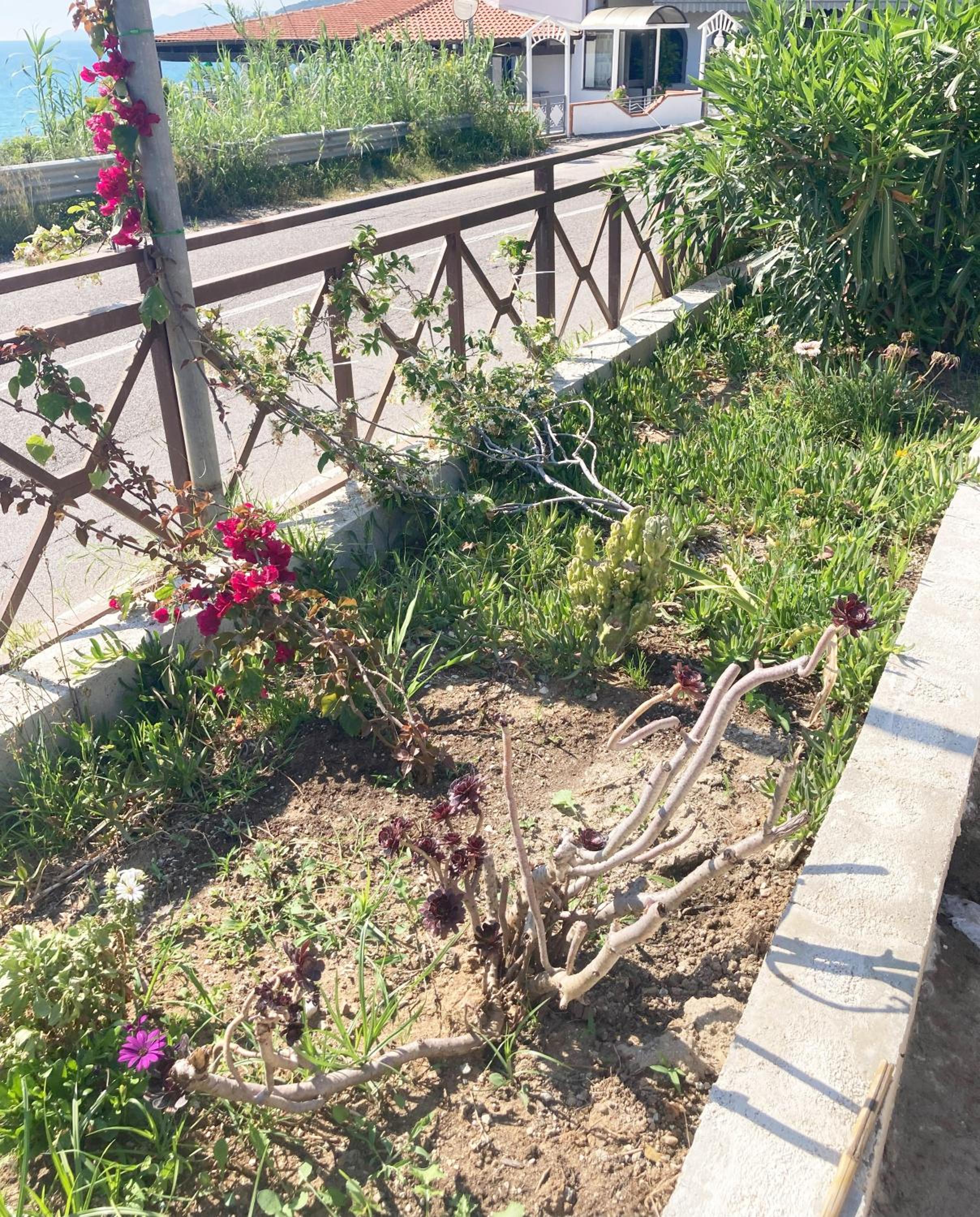 La Meriggia B&B