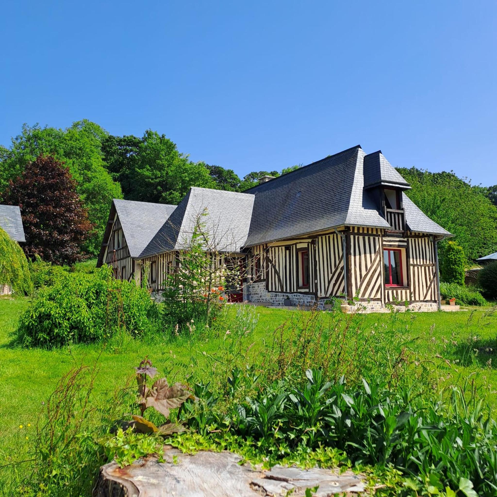 L'Herbe Haute