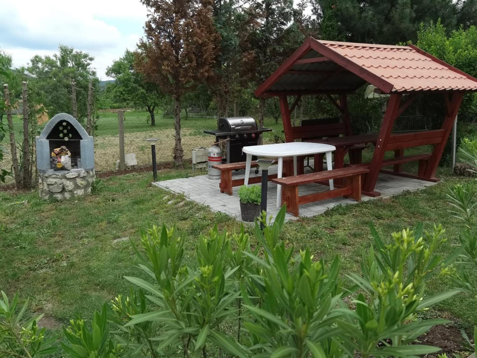 Photo 22