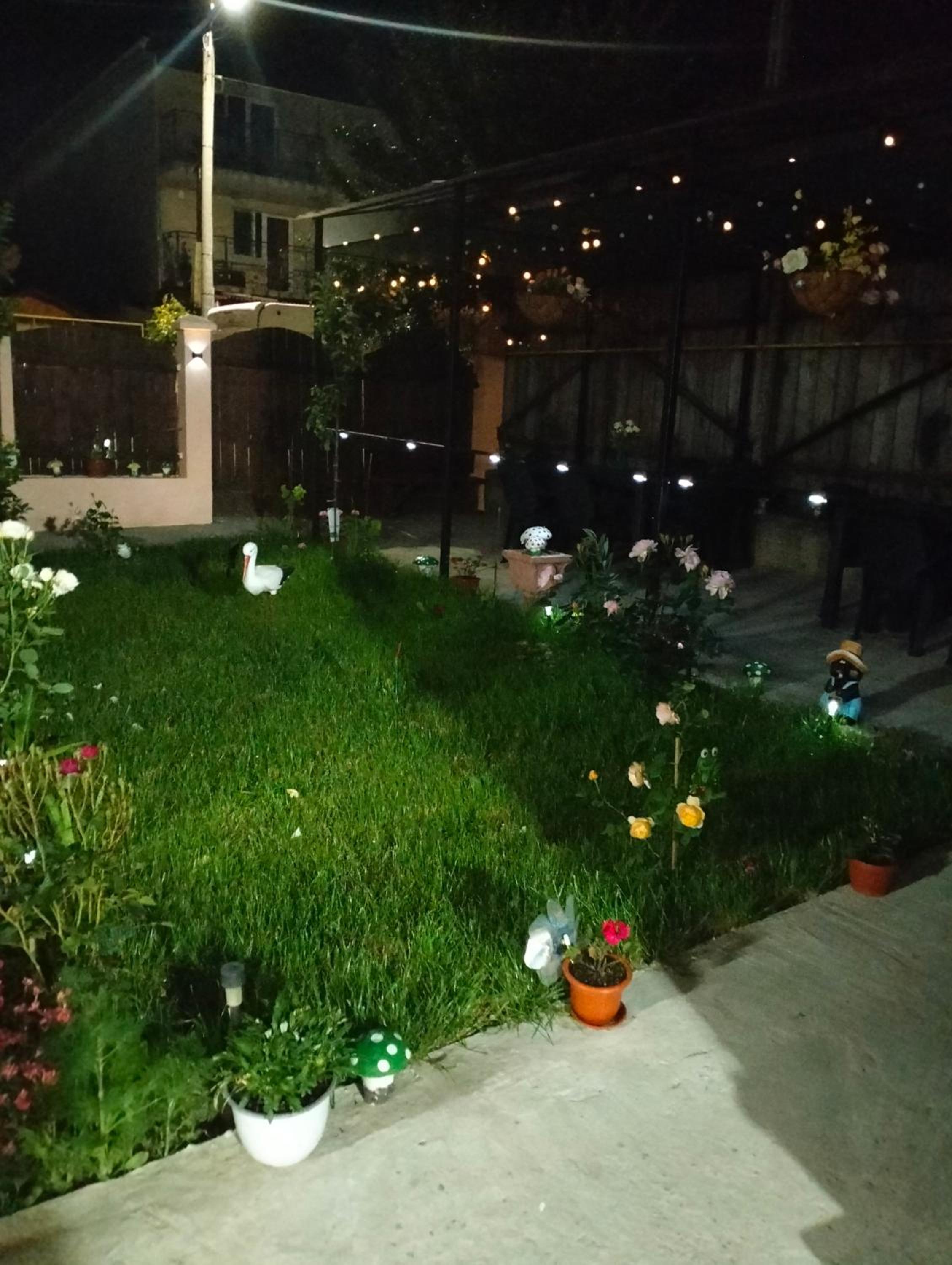 Casa Tomița view 3