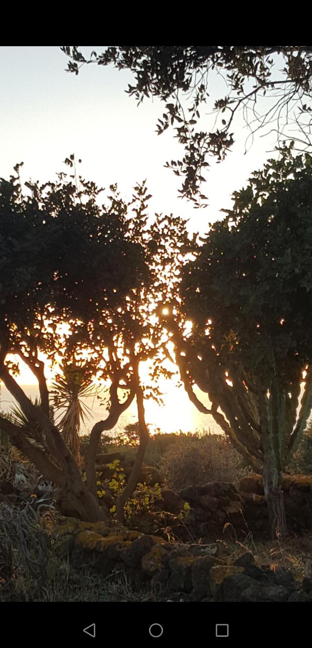 Dammusi di pietra SOLE photo 3