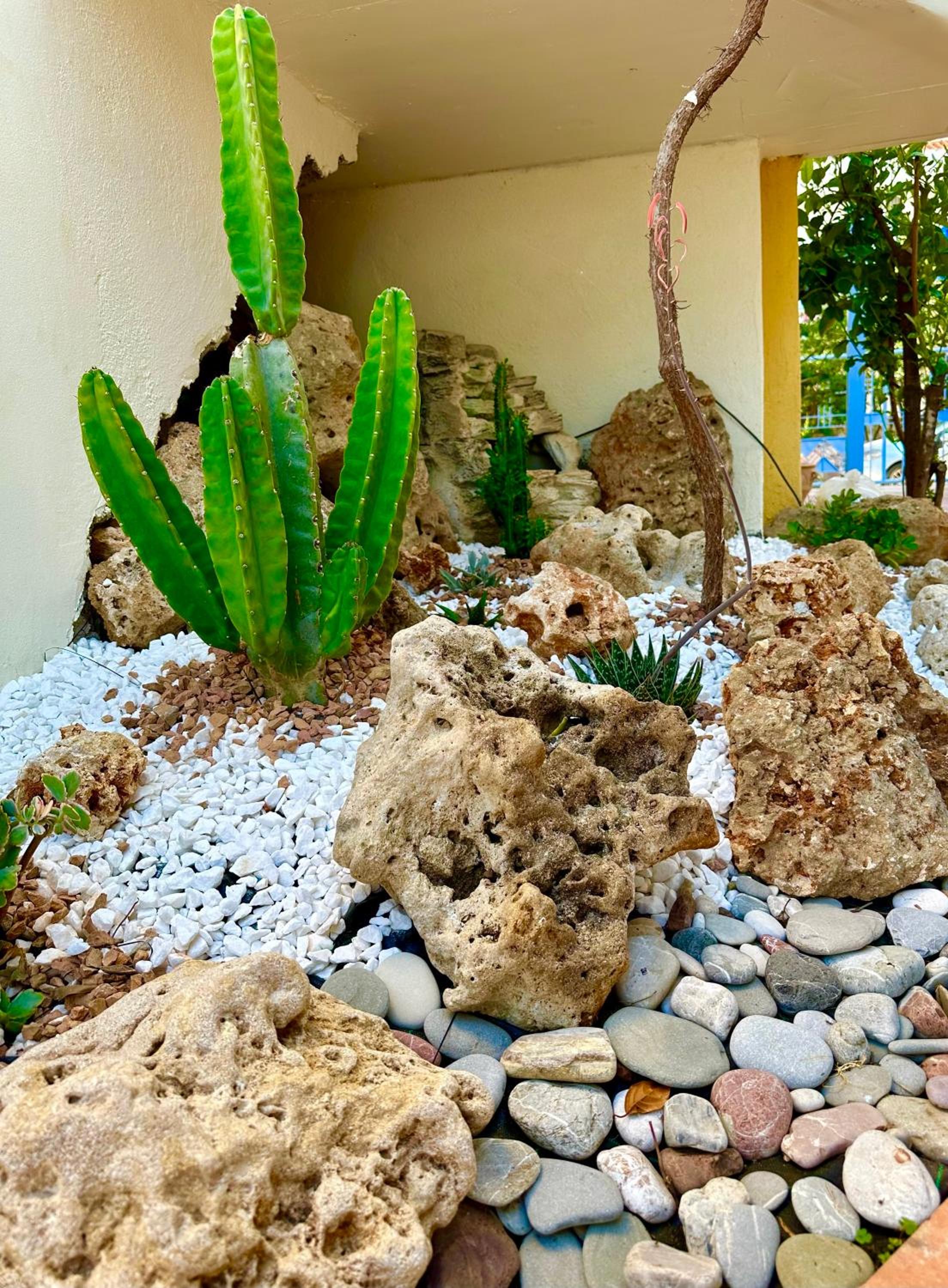 Niriides