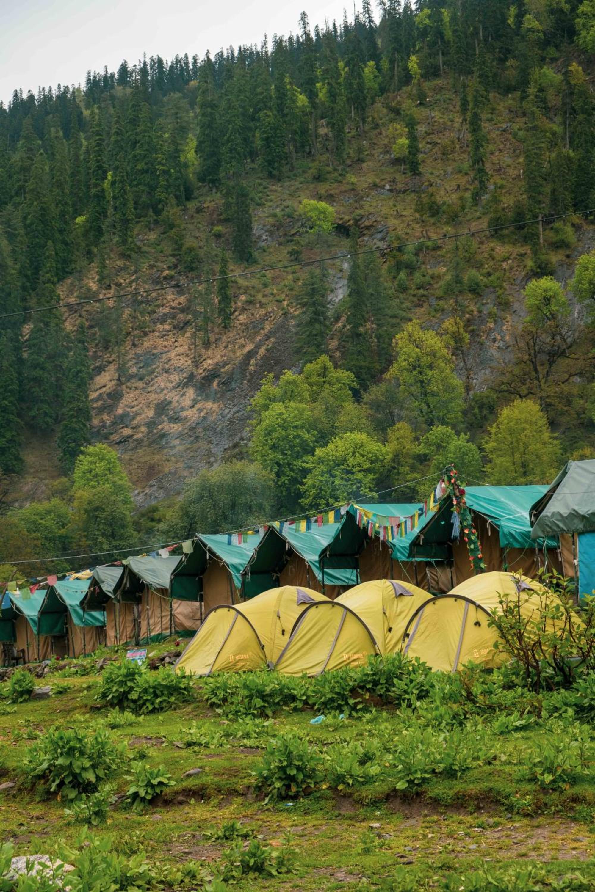 Kheerganga Hike Camps view 2