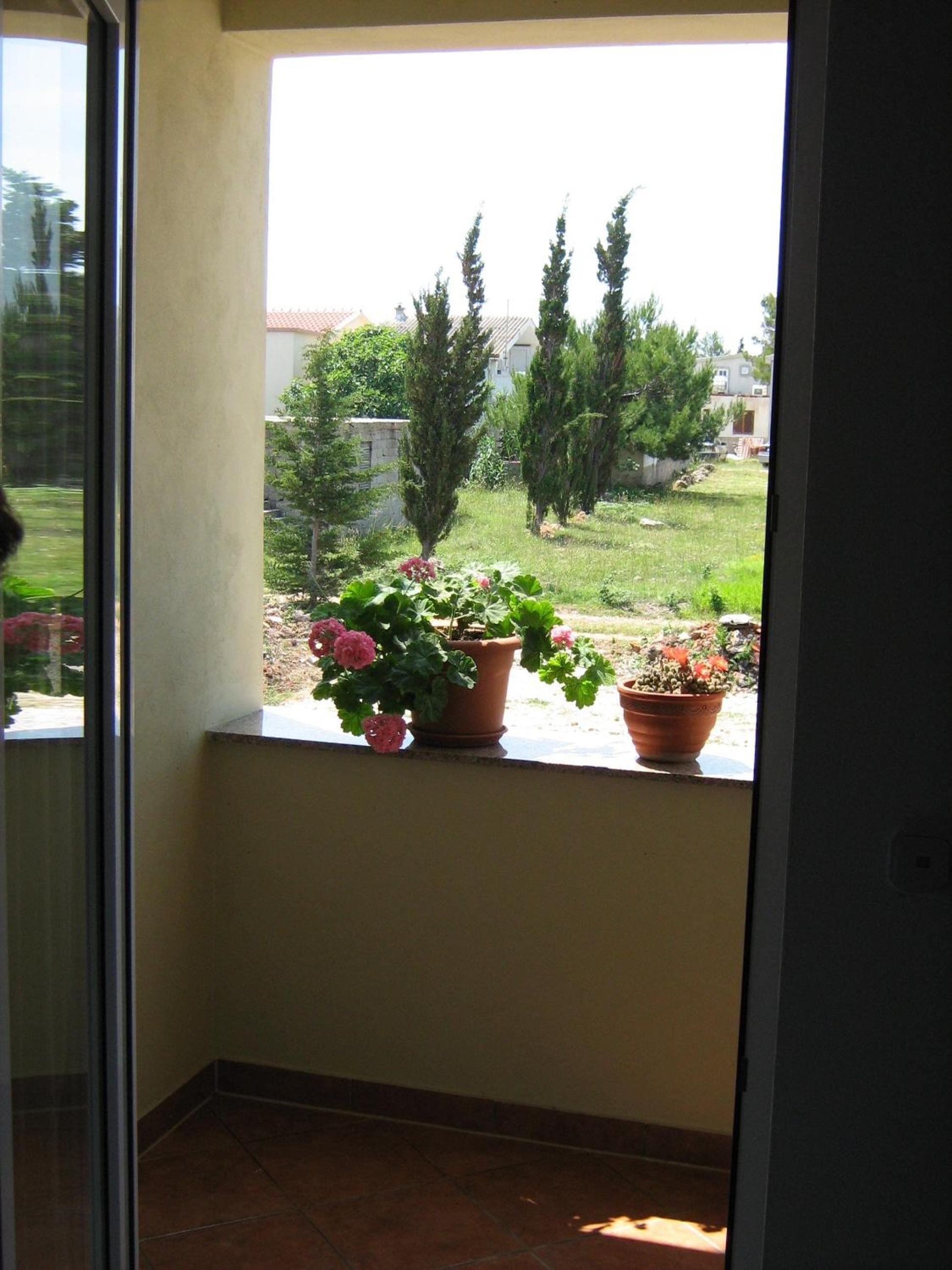 Photo 33
