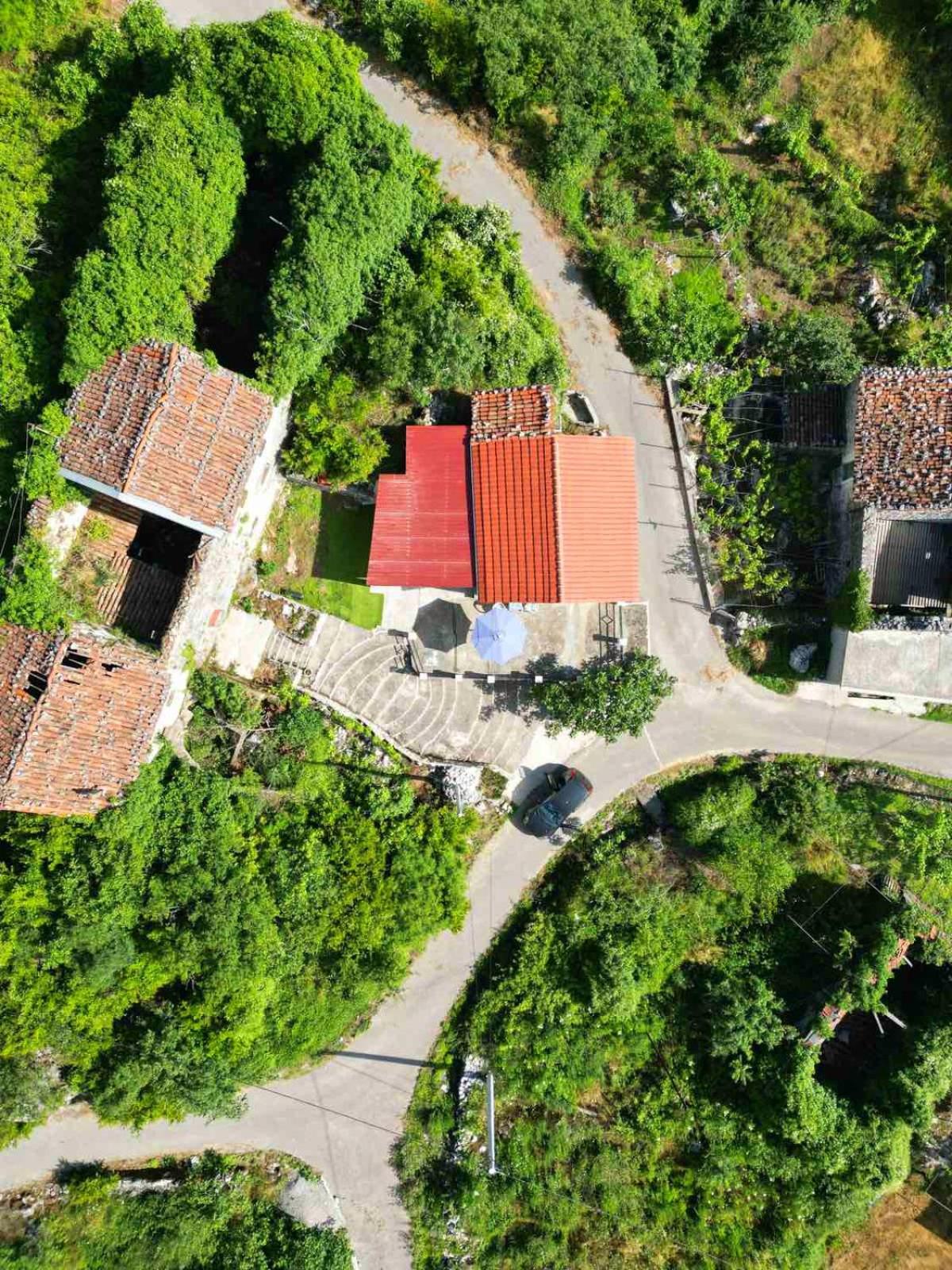 Dabanović House