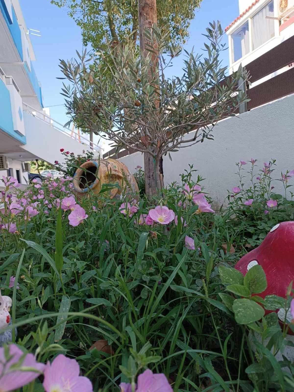 Photo 46