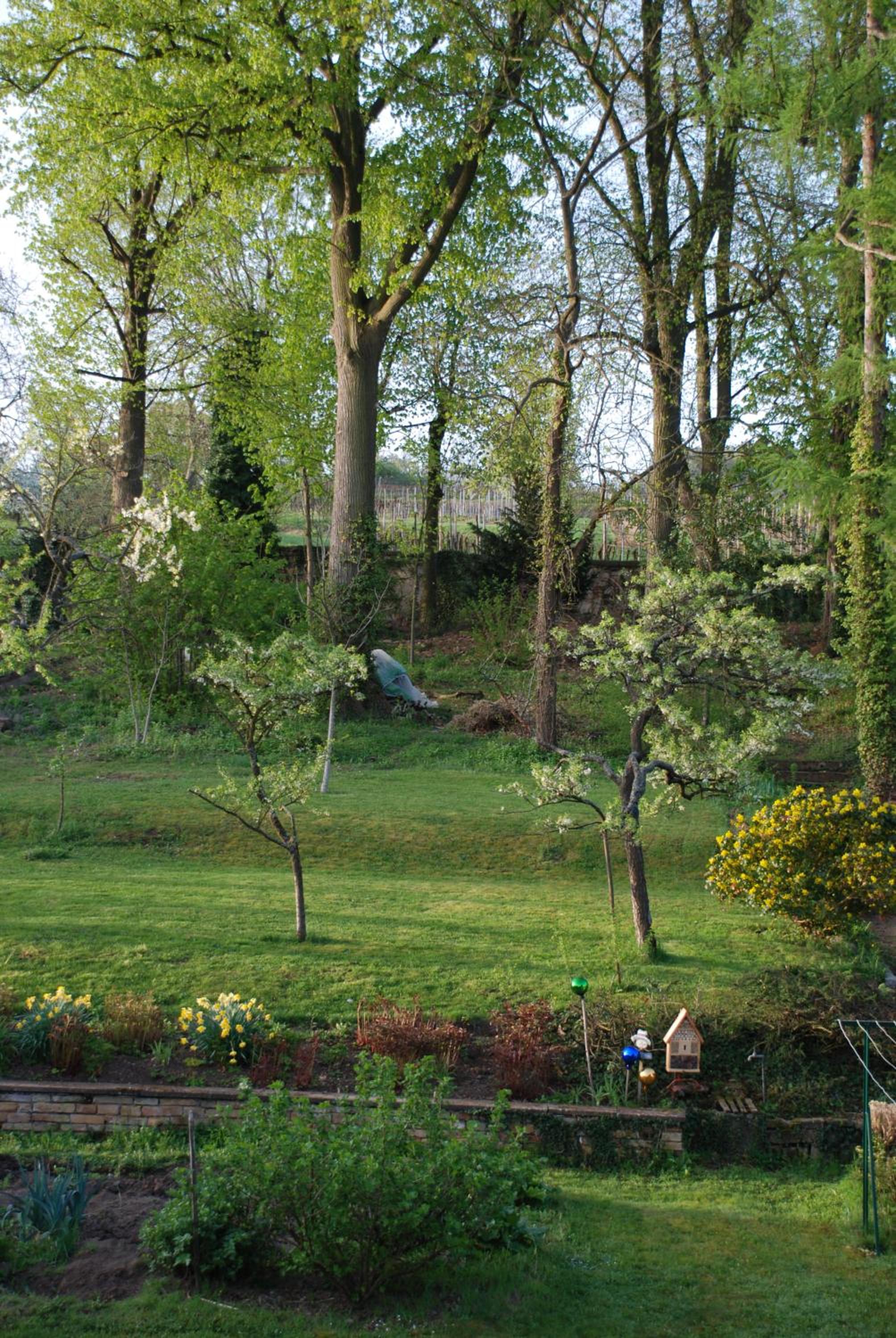 Les Bleuets view 3