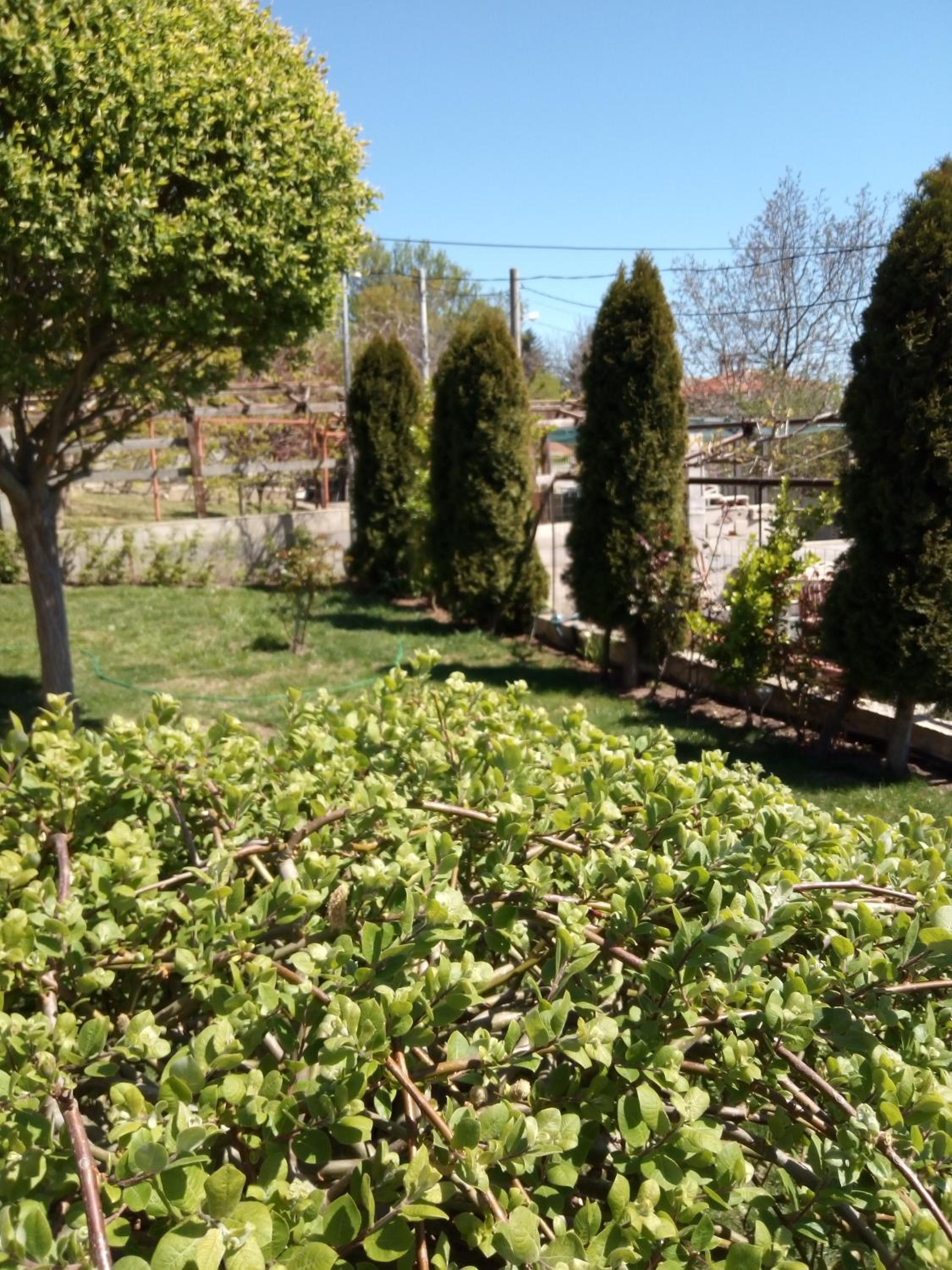 Photo 31