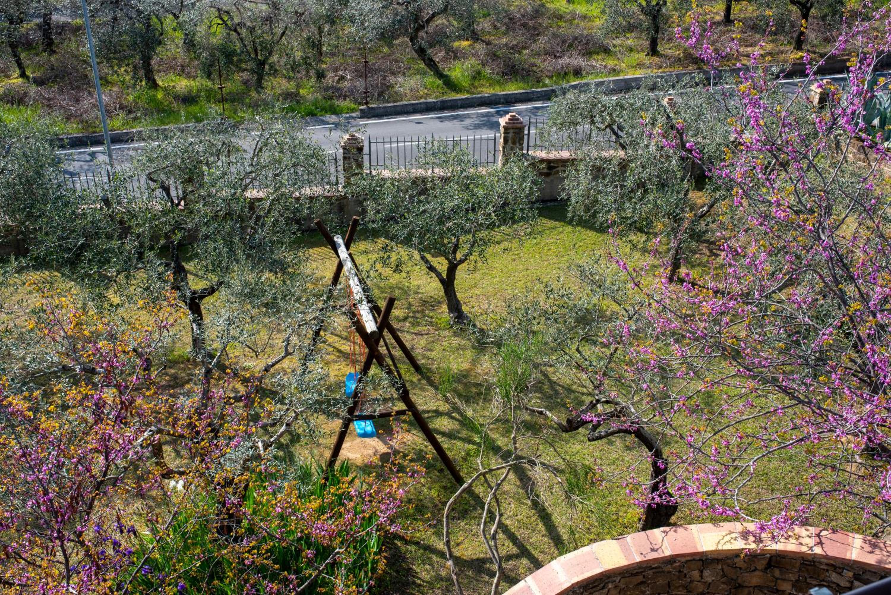 La Ginestra