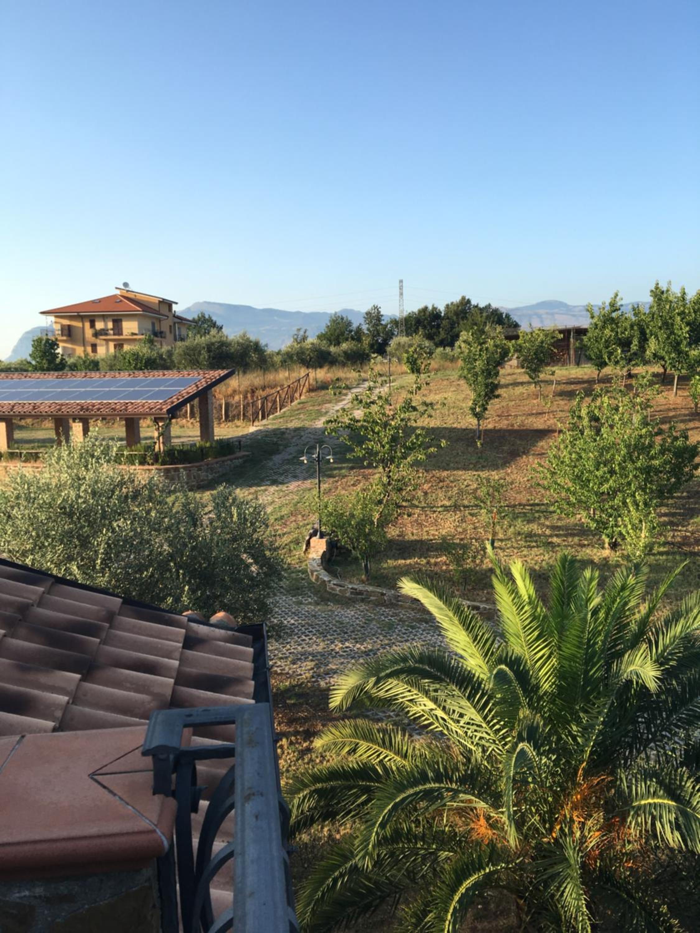 La Ginestra