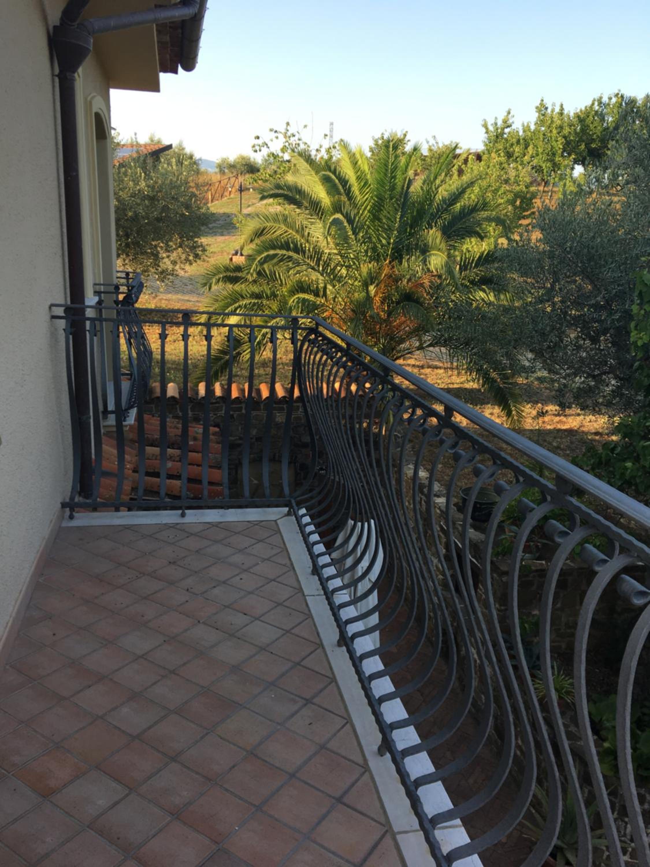 La Ginestra