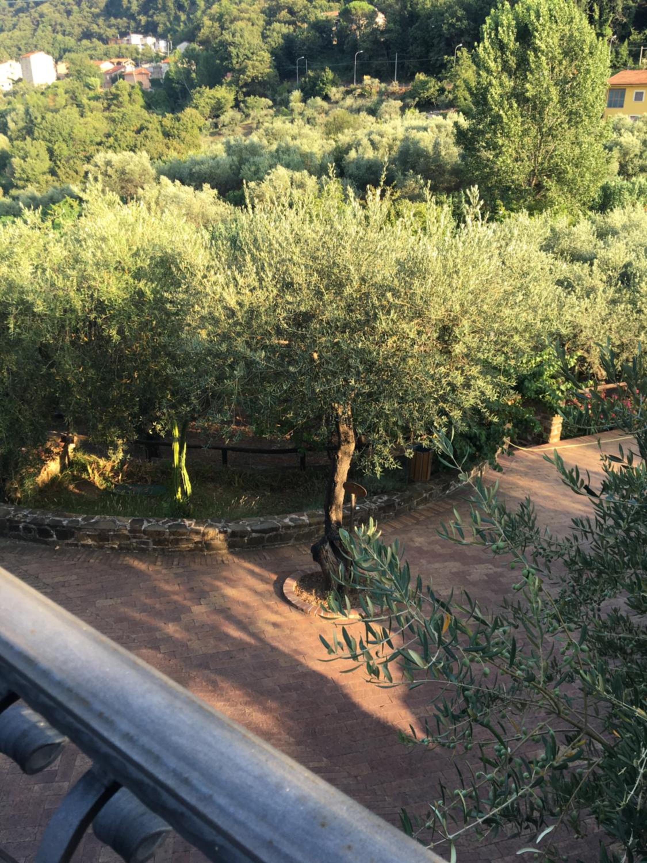 La Ginestra