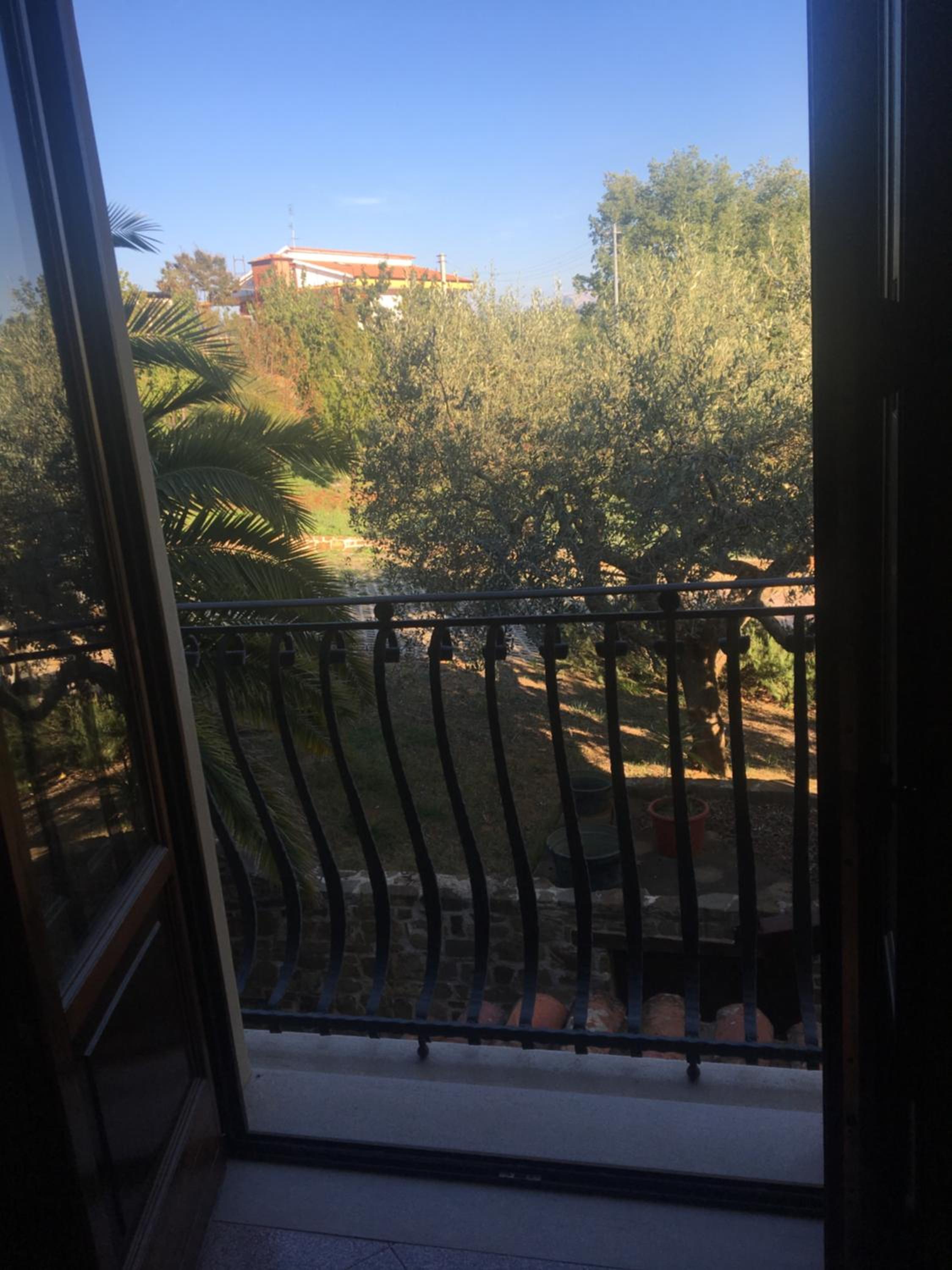 La Ginestra