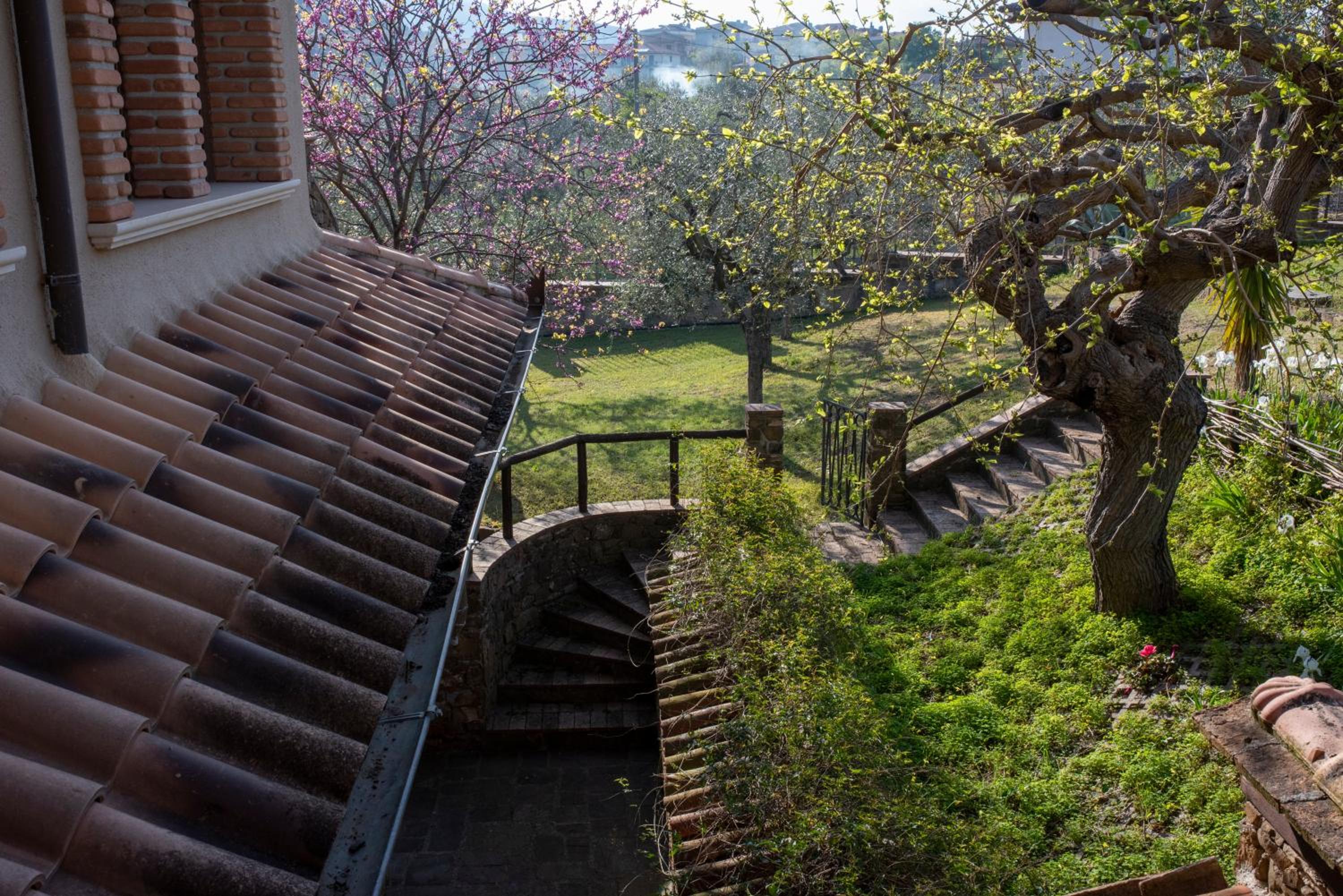 La Ginestra