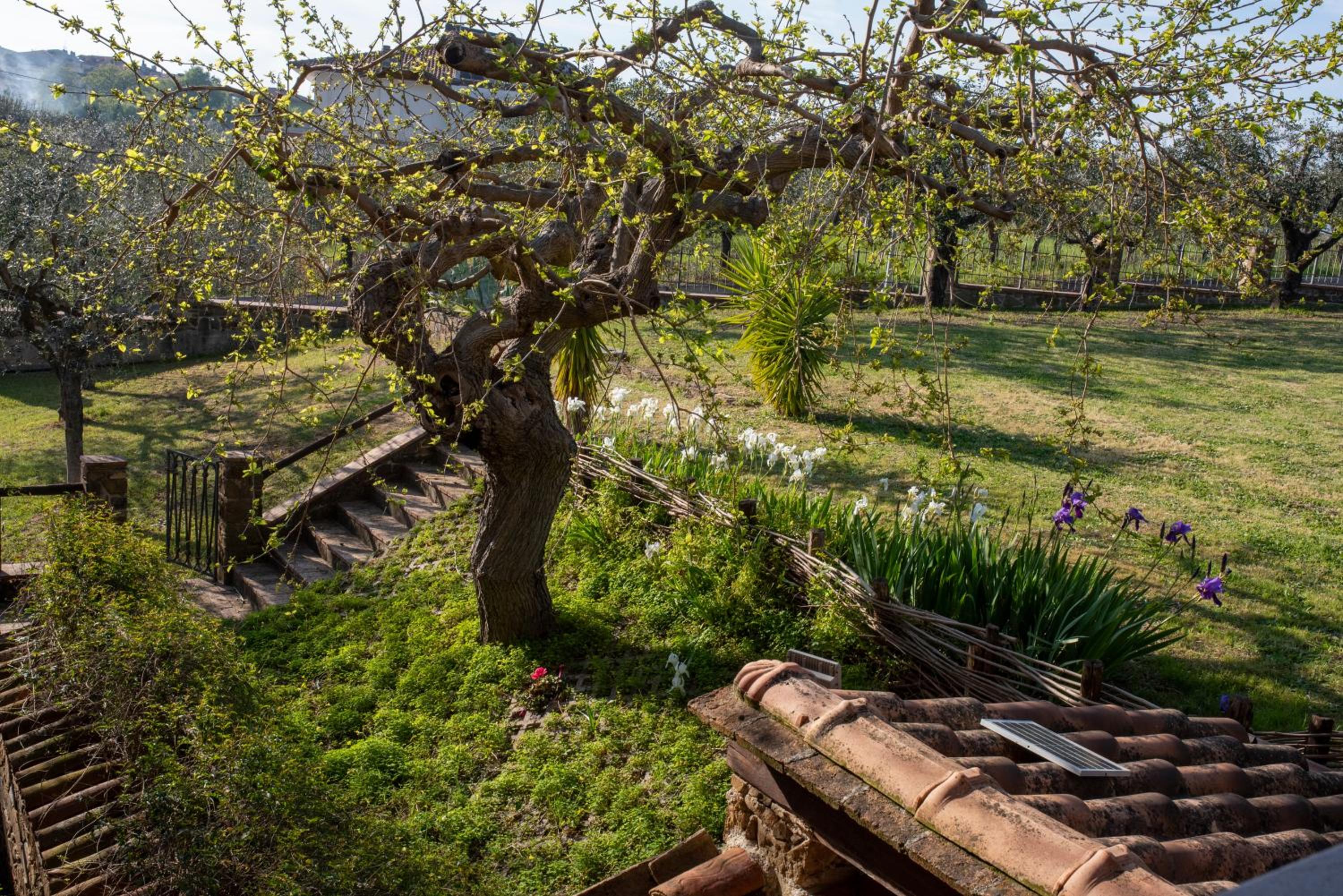 La Ginestra