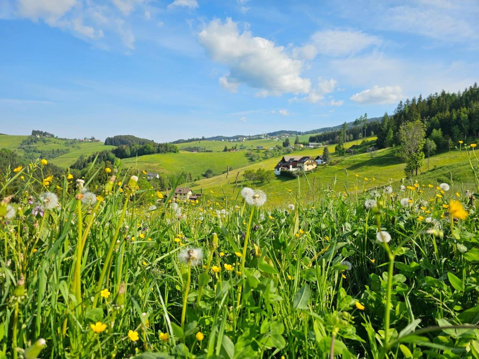 Zukaunighof