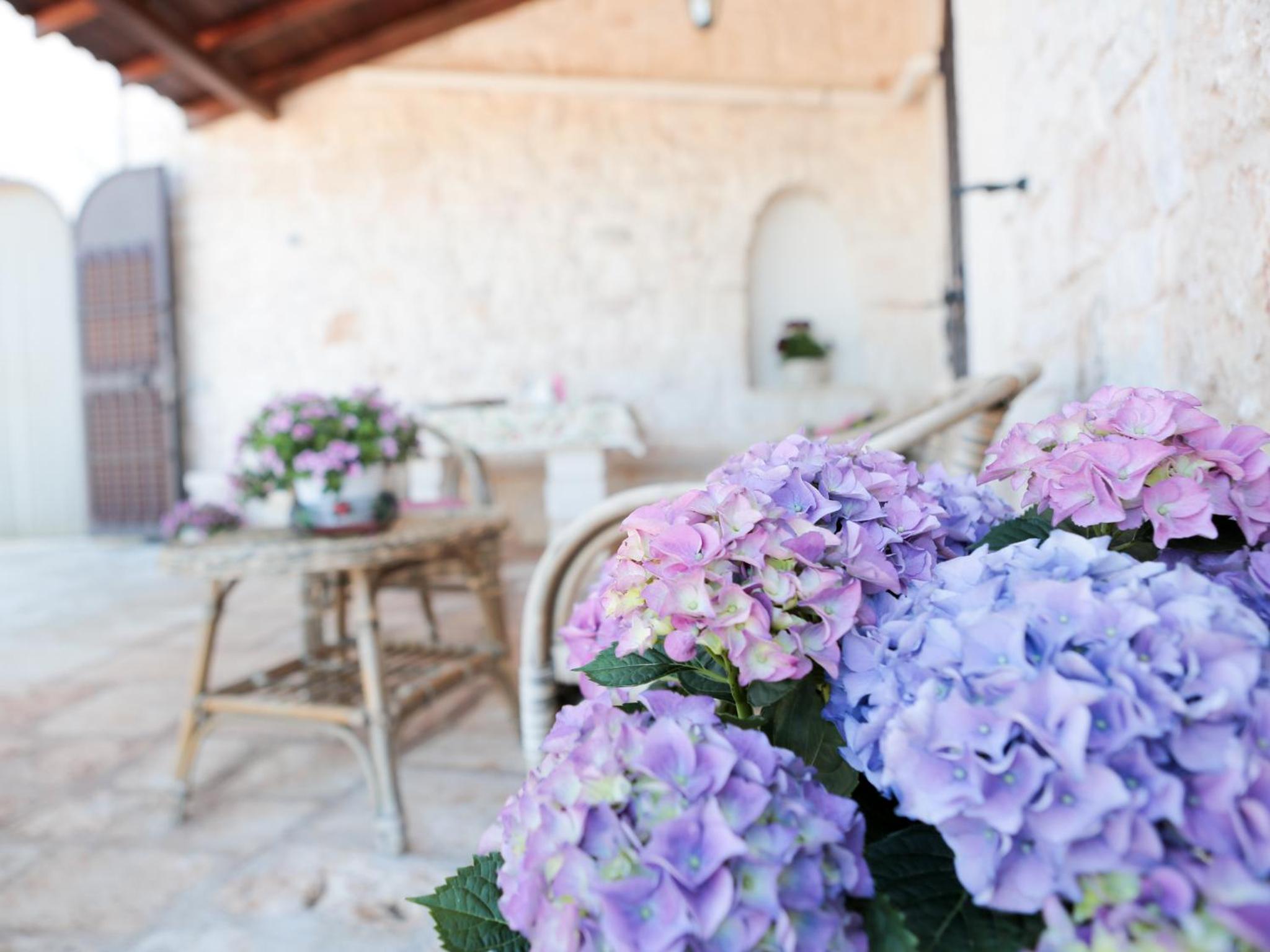 B&B La Collina Degli Ulivi