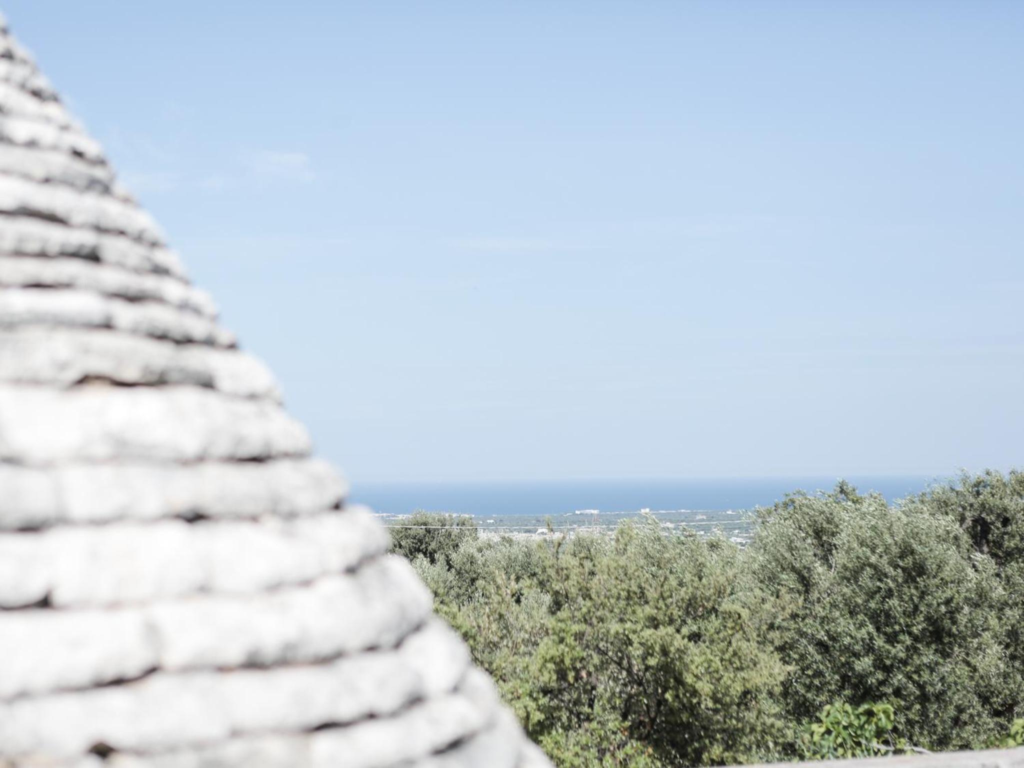 B&B La Collina Degli Ulivi
