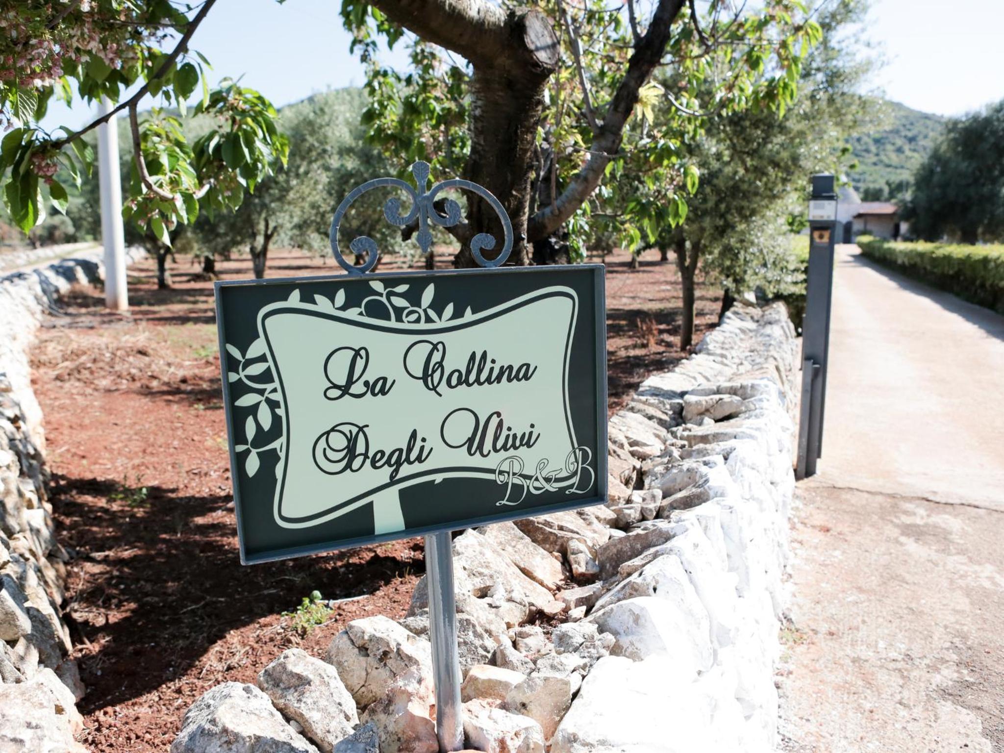 B&B La Collina Degli Ulivi