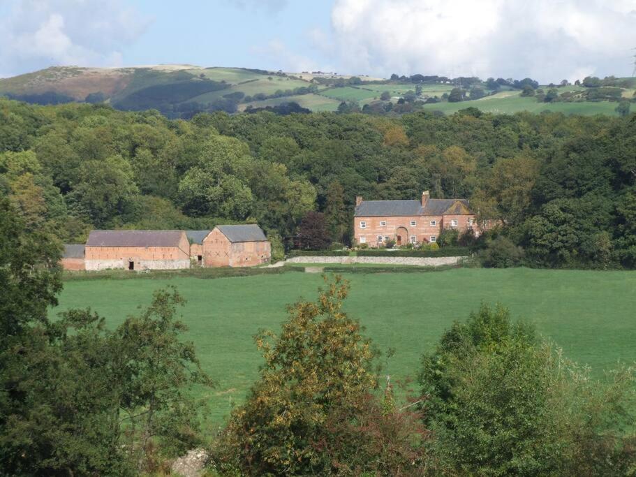 Bach y Graig cottage