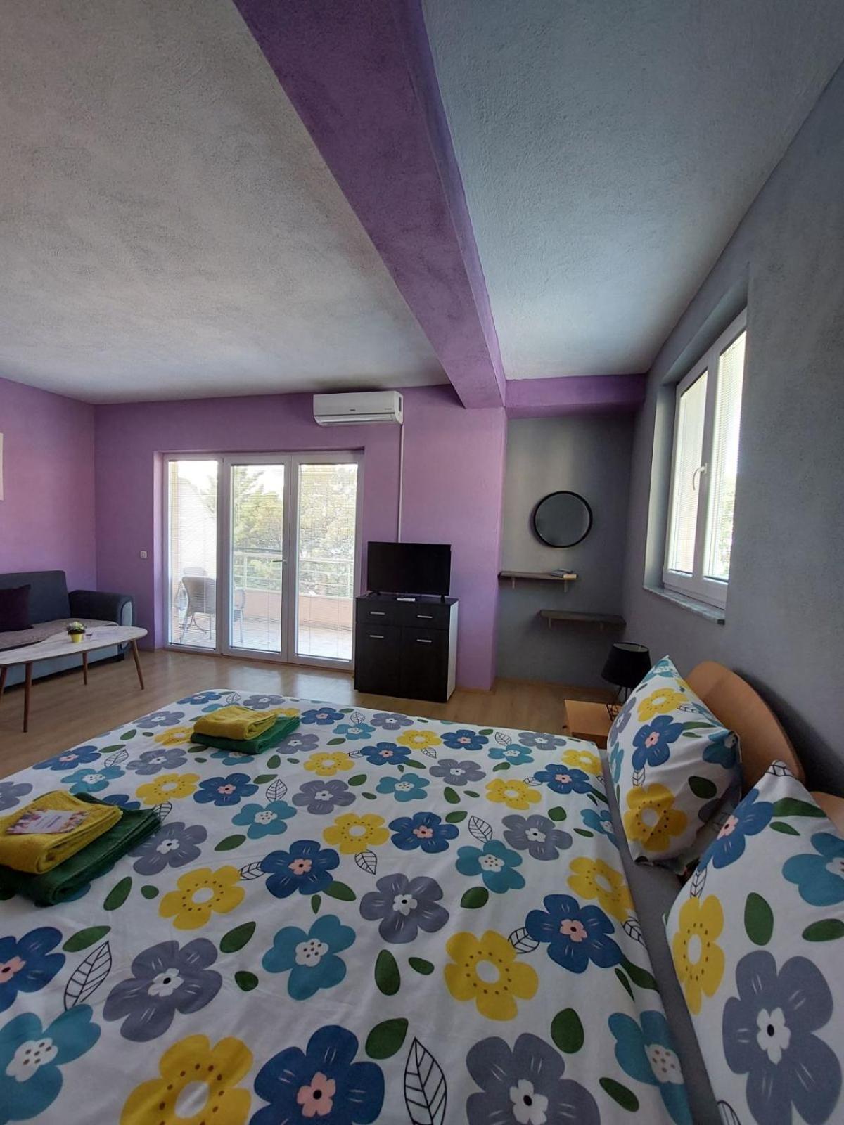 PS Apartments - Peshtani view 5