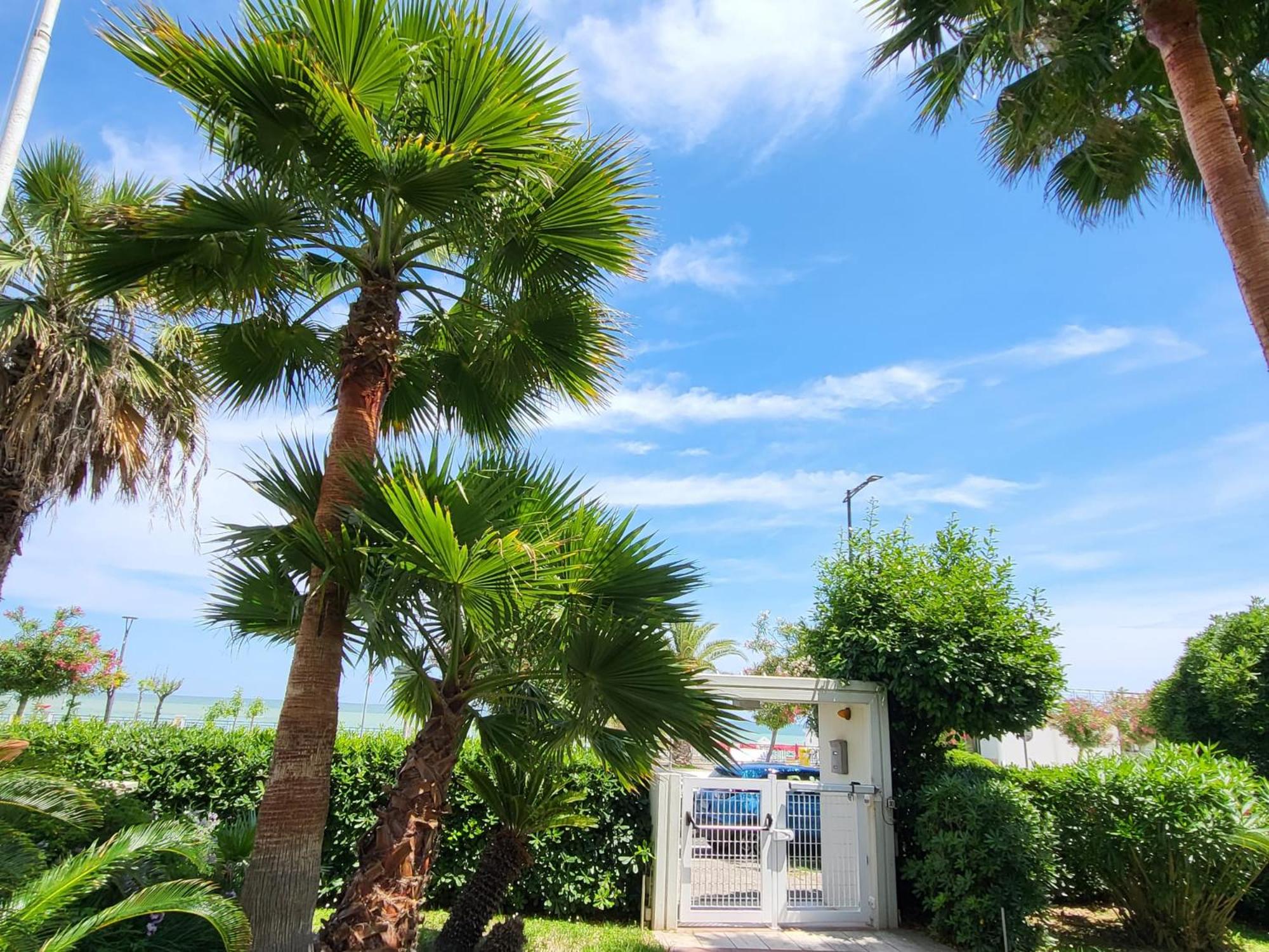 Residence Le Palme