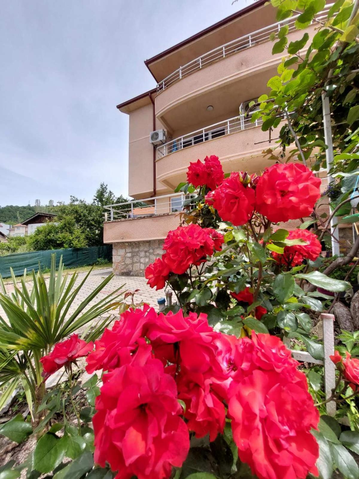 PS Apartments - Peshtani