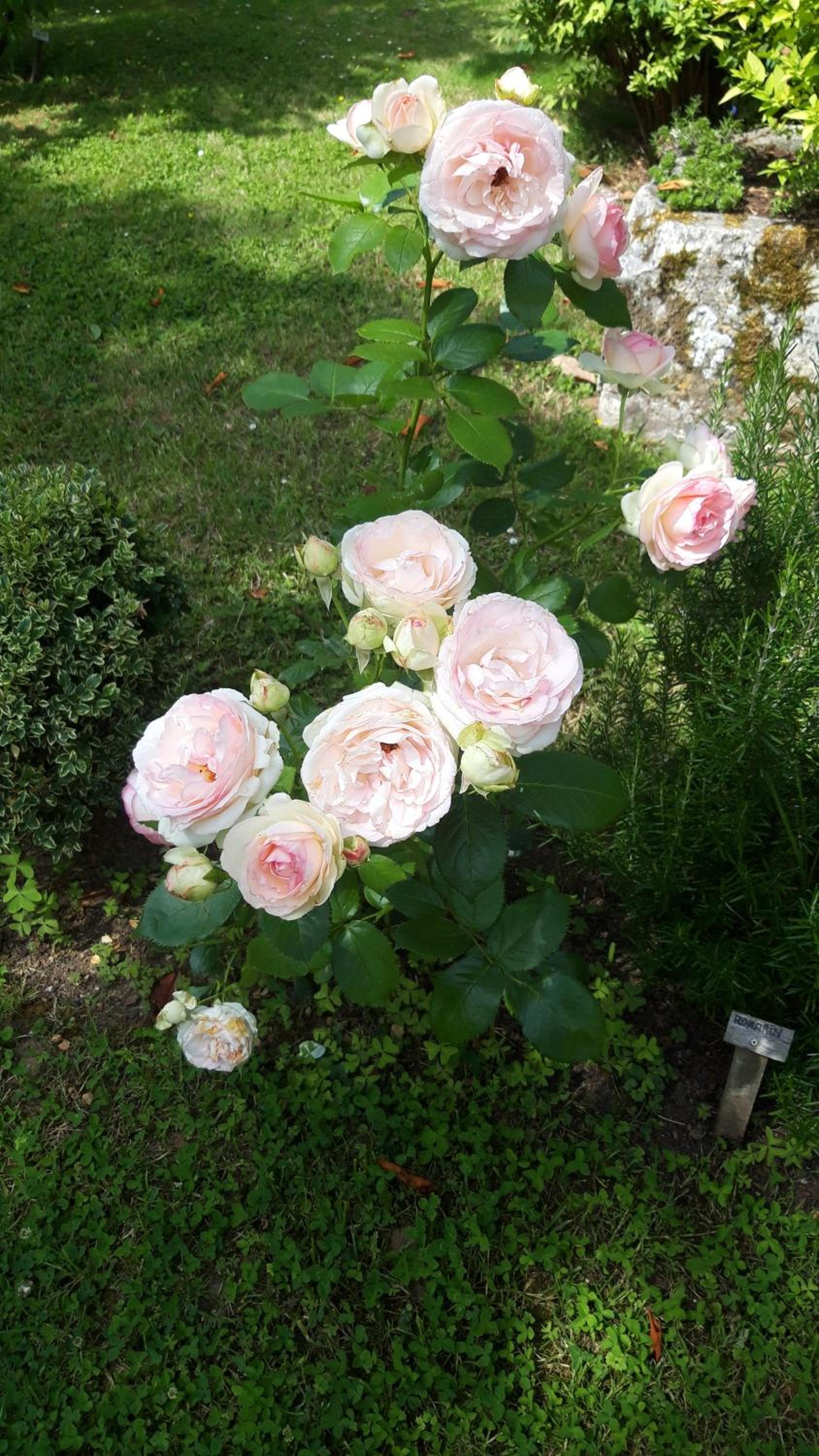 Photo 24