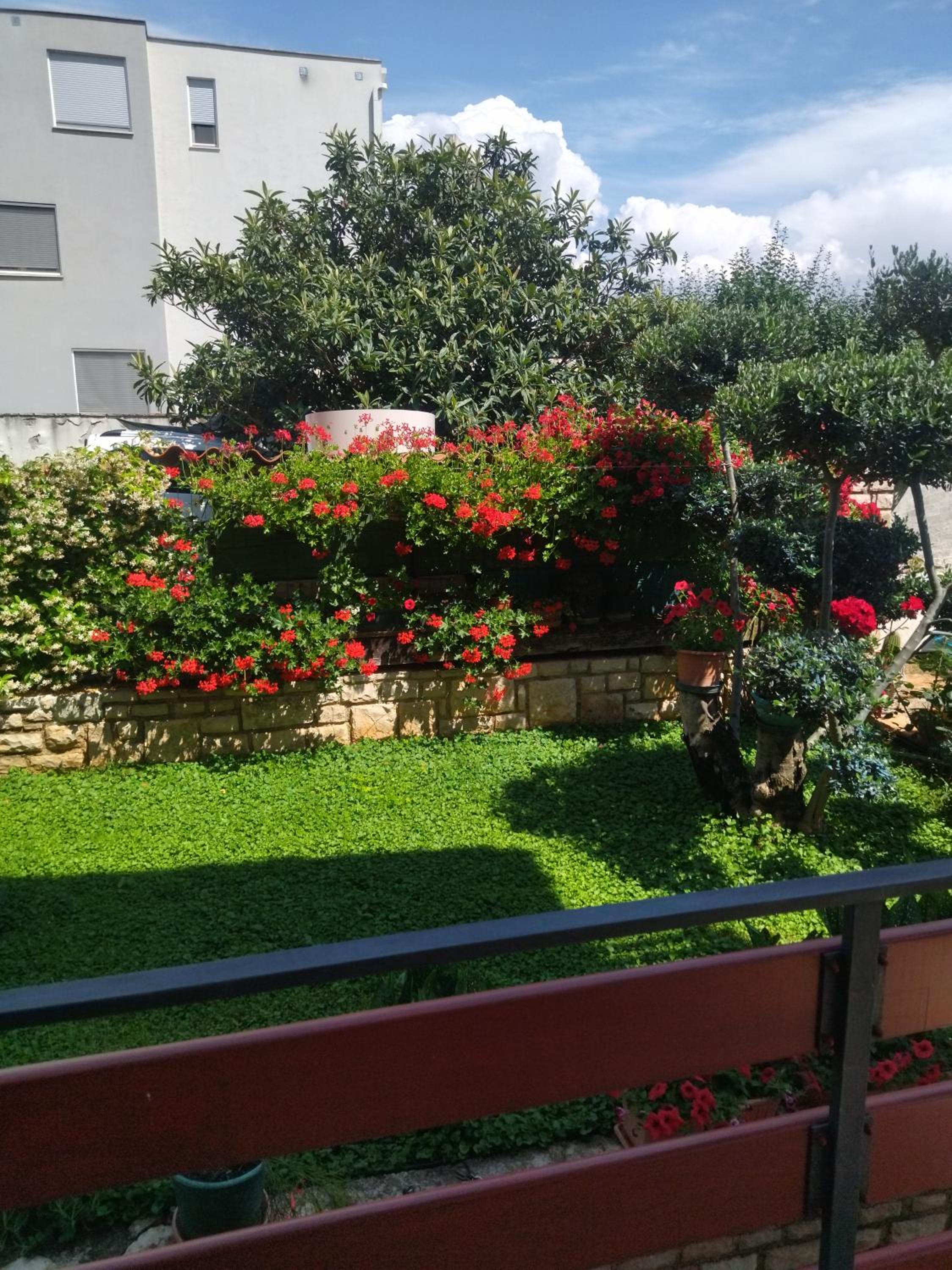 Photo 27