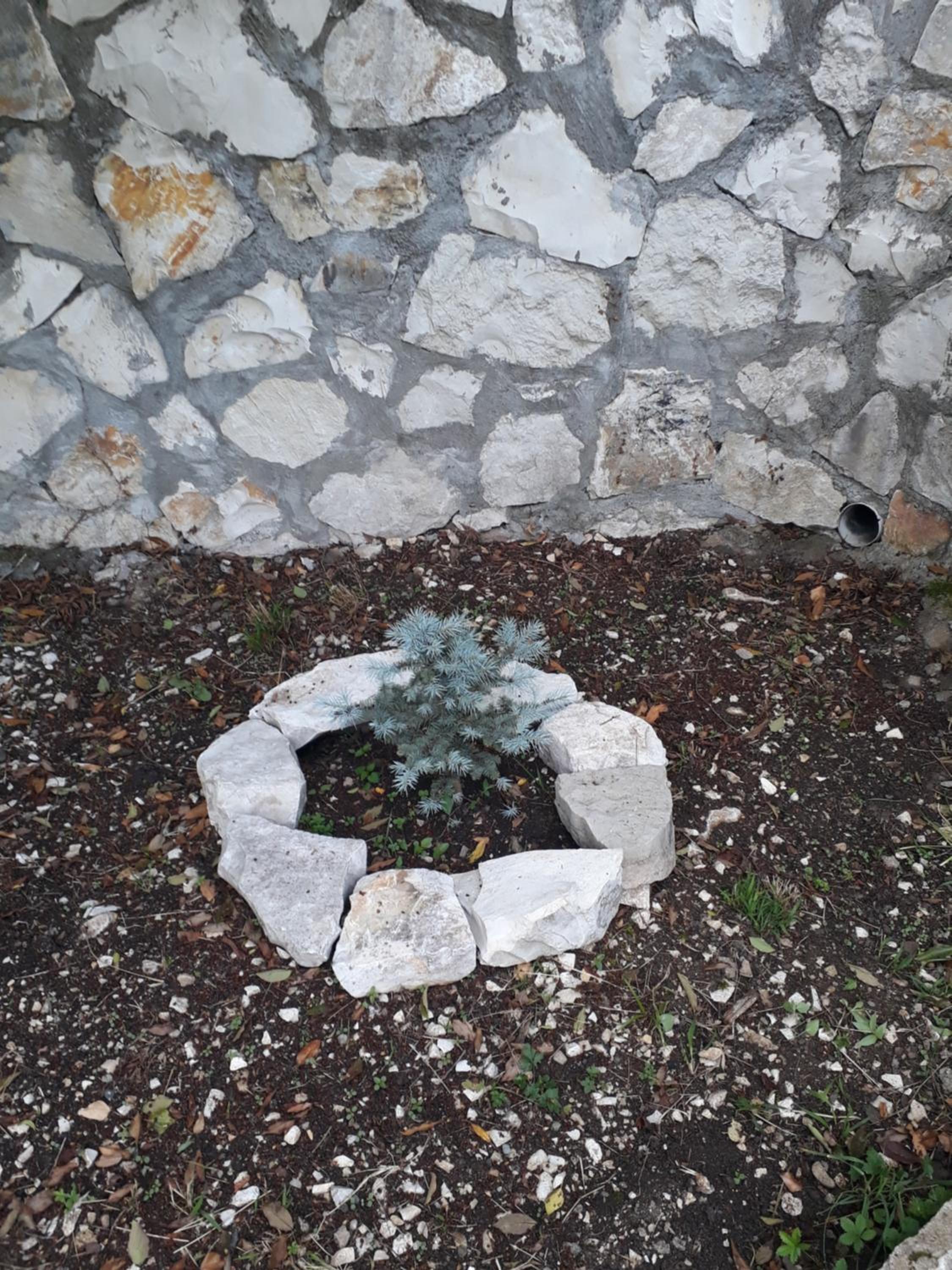Photo 34