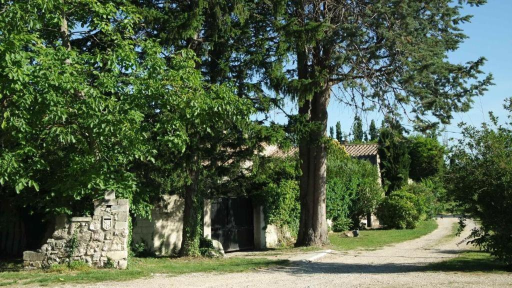 Mas Grimaud - Gîte- Studio et chambres d'hôtes familiales view 3