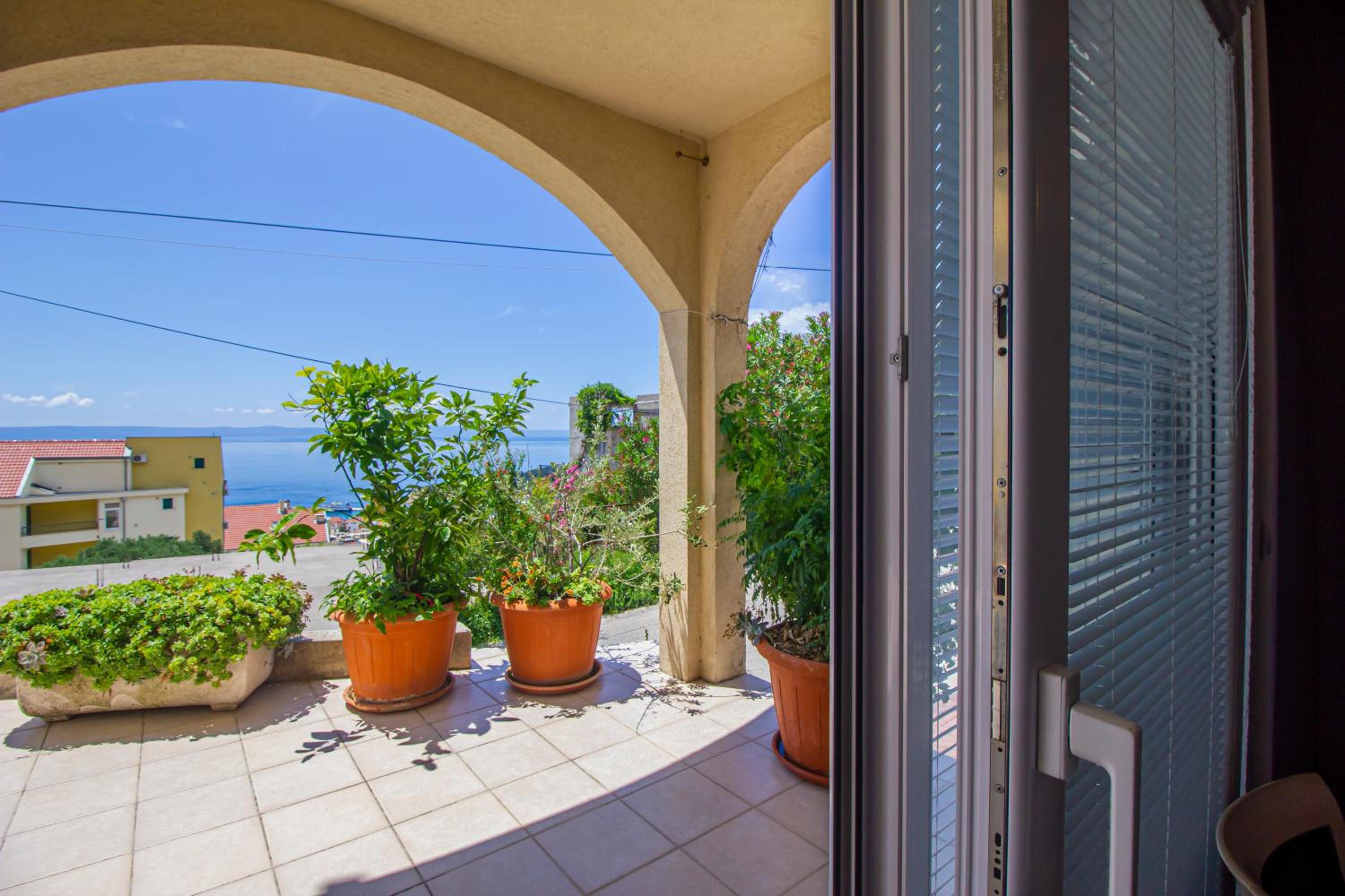 Apartments Branka