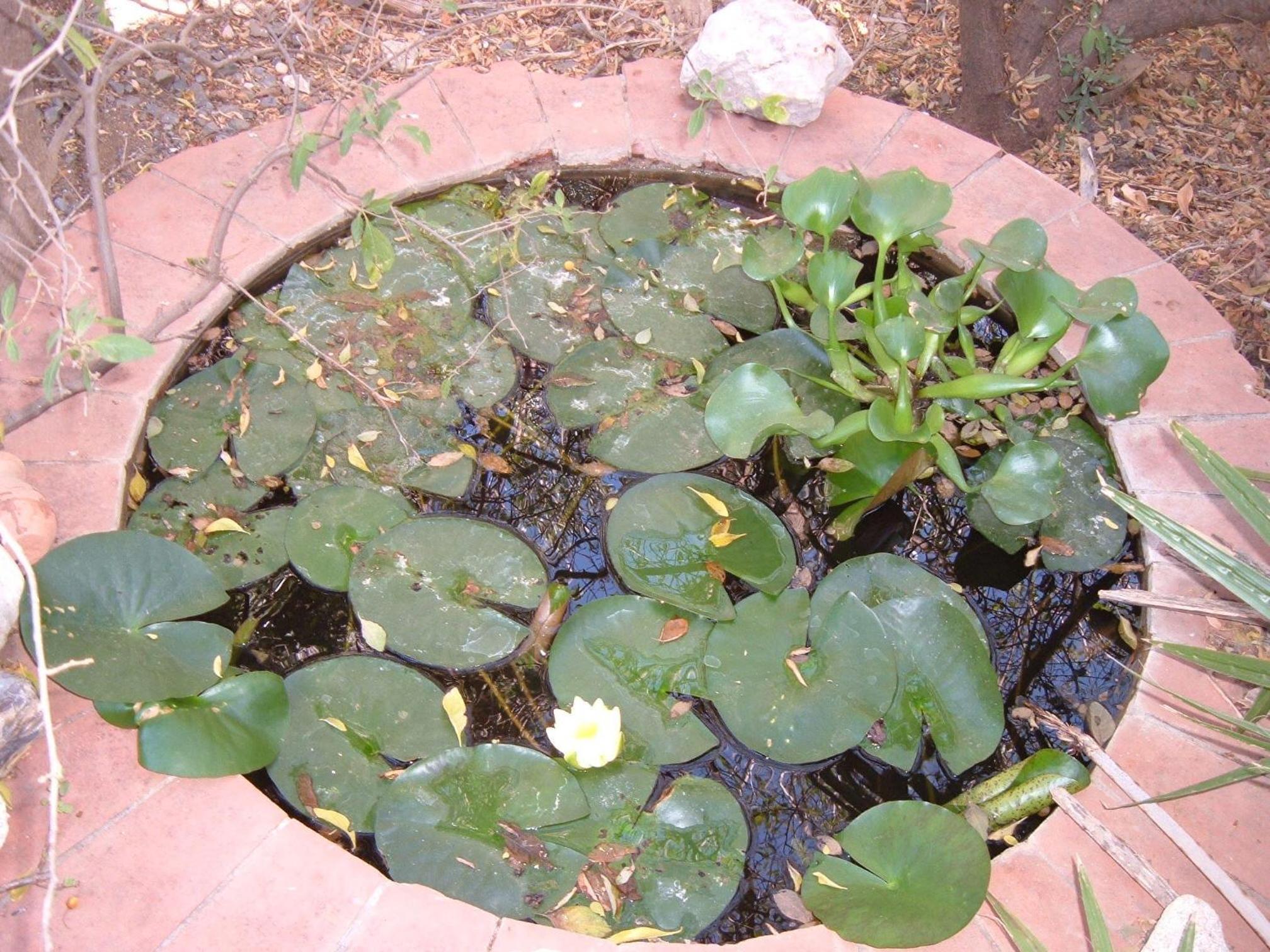 Photo 7