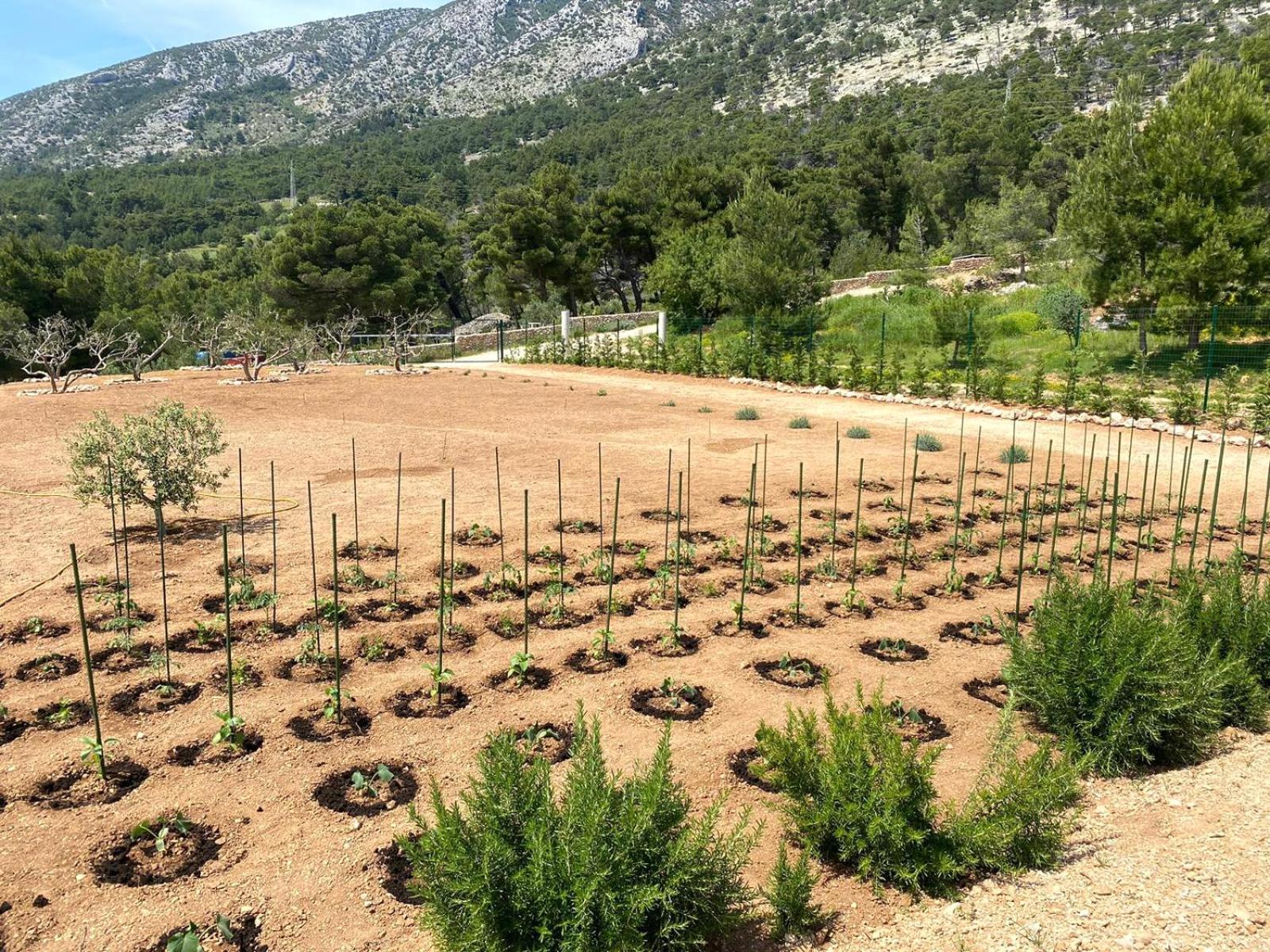 Villa Garden
