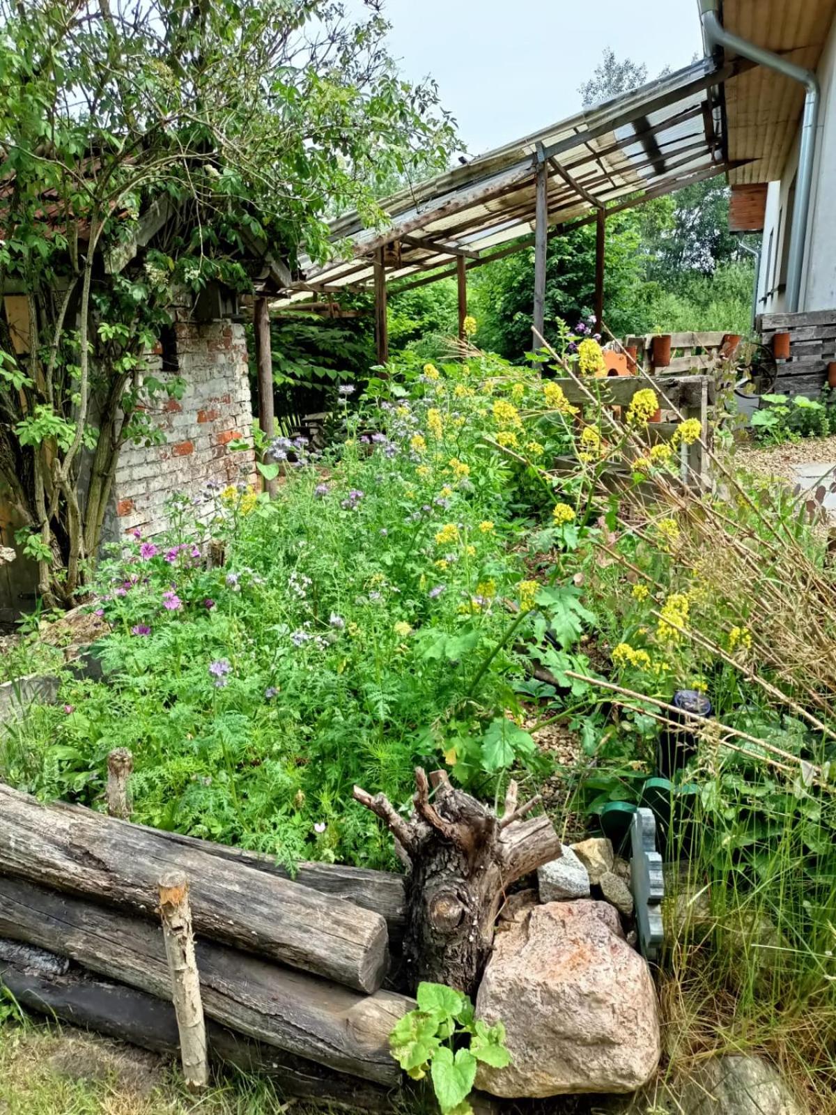 Photo 21