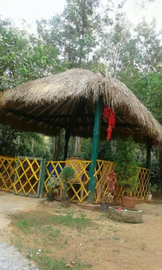 dreams home estate stay 2 view 3