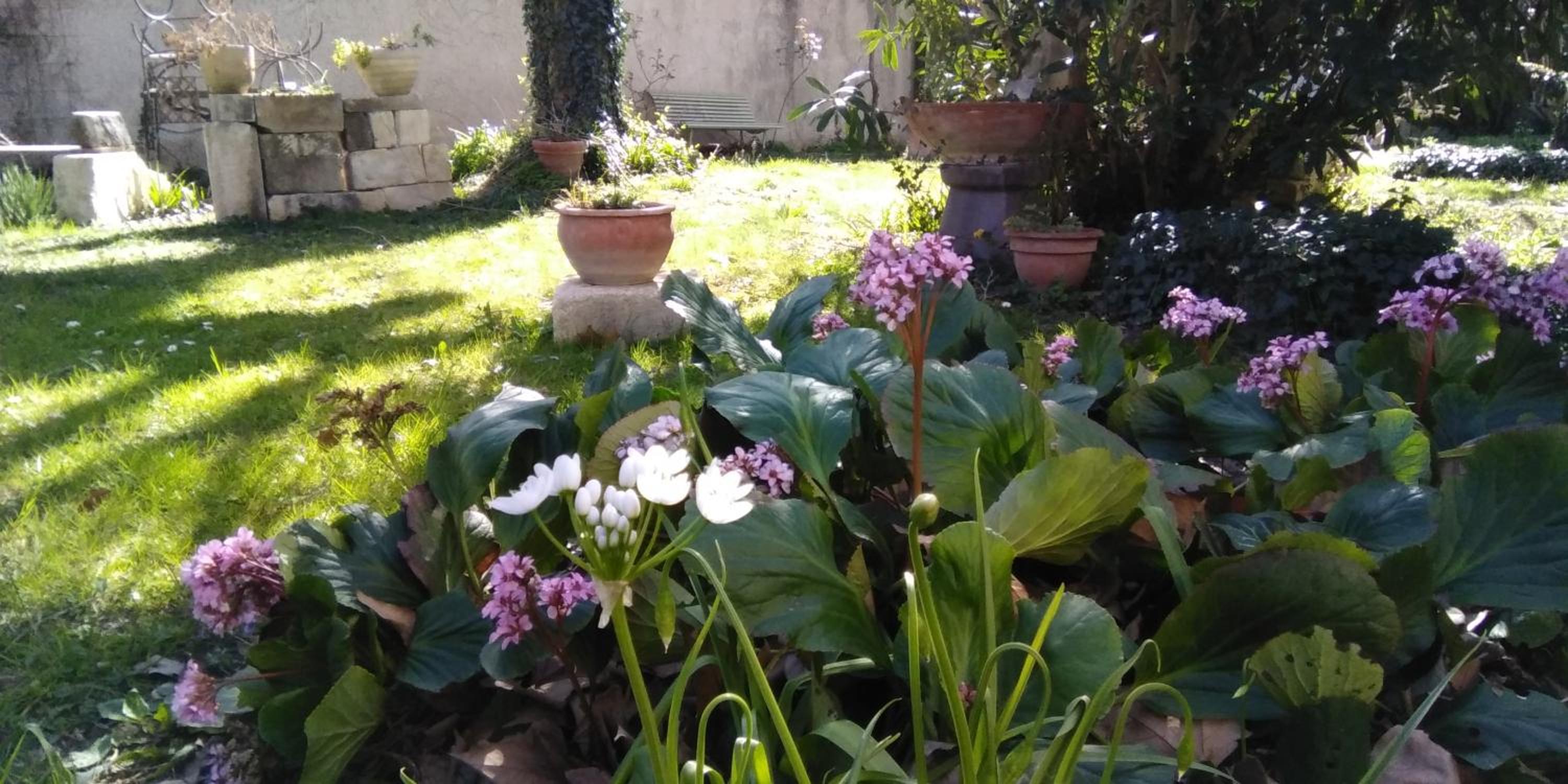 Photo 36