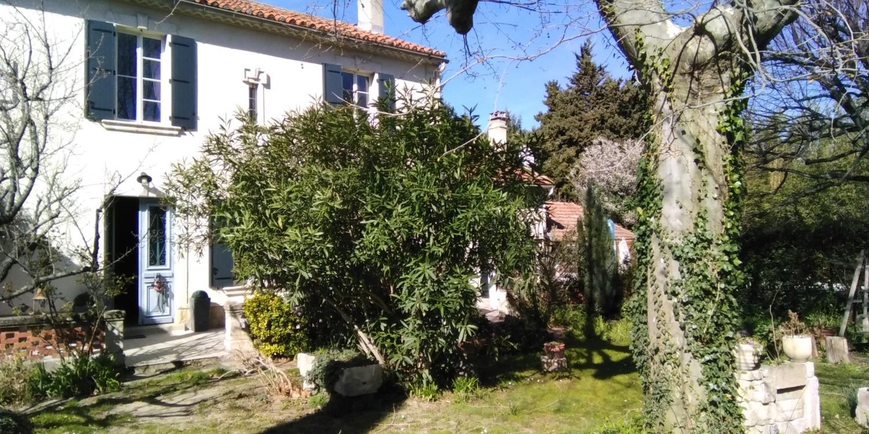 Photo 51