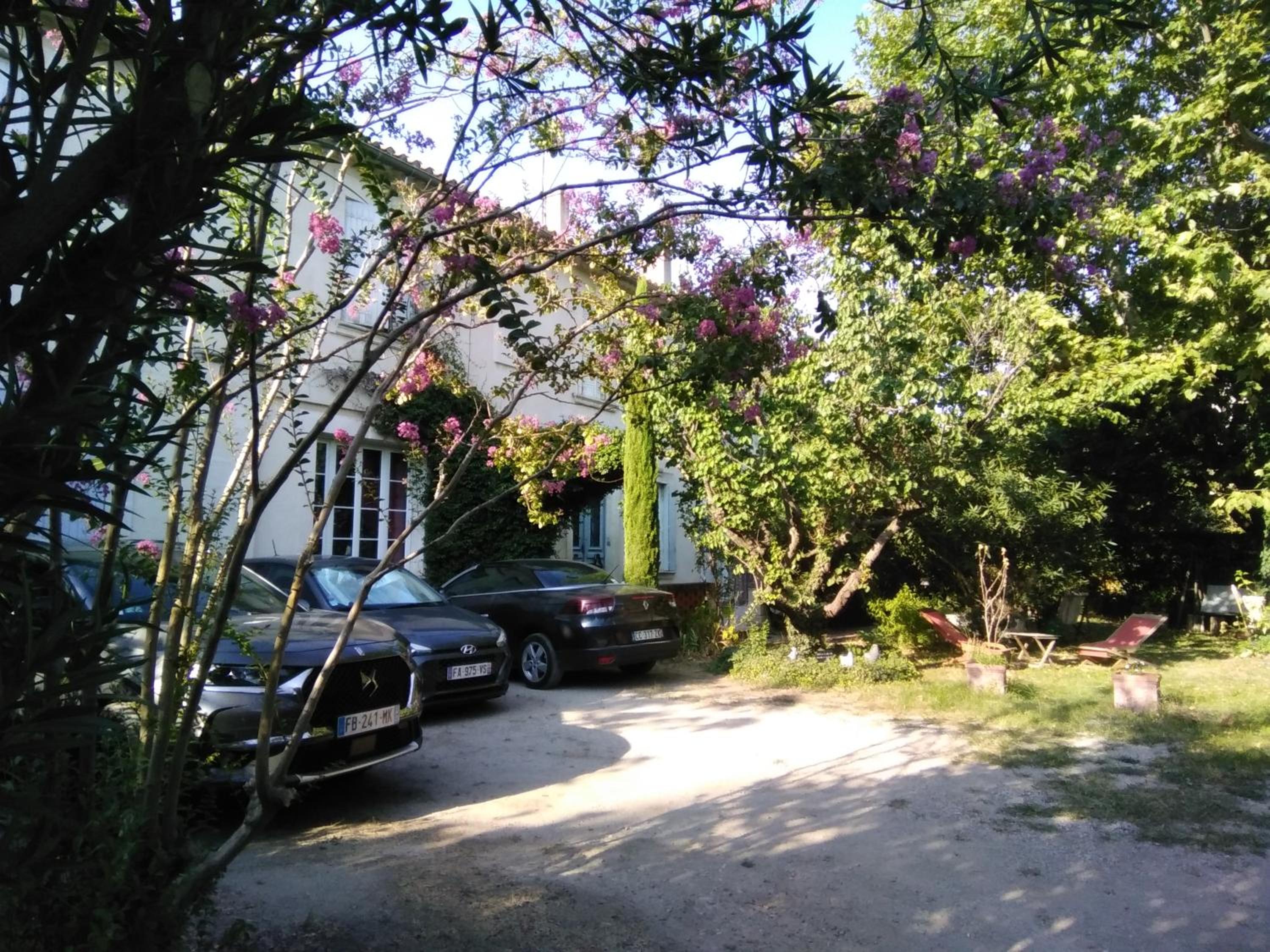 Photo 45